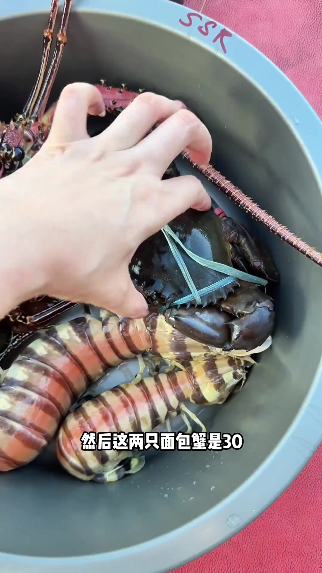 马来西亚仙本那海鲜市场第一轮杀价,感觉还是做了只小水鱼