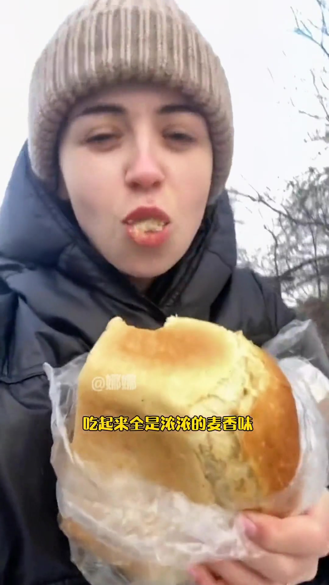 俄罗斯大列巴 全麦面包