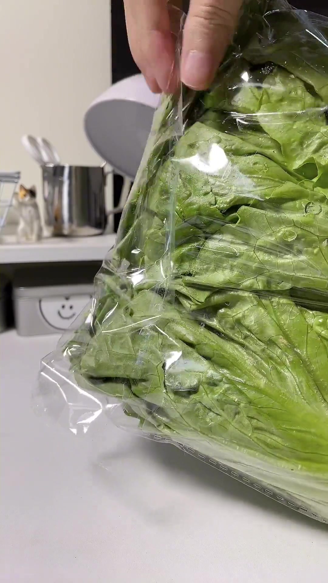 懒人干饭之《清粥小菜》～
