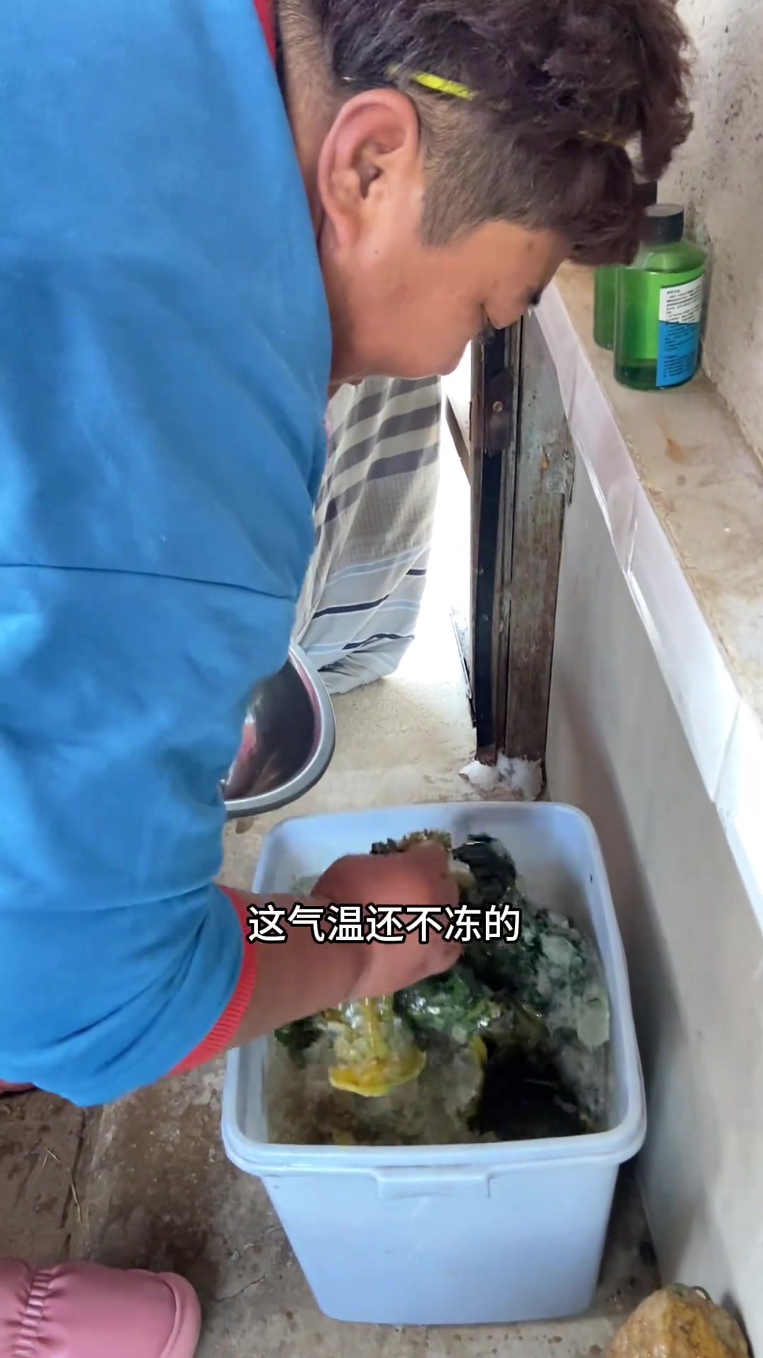 辣菜樱子腌好了,打成卤子吃一顿妈妈牌疙豆,热气腾腾的妈呀太香了