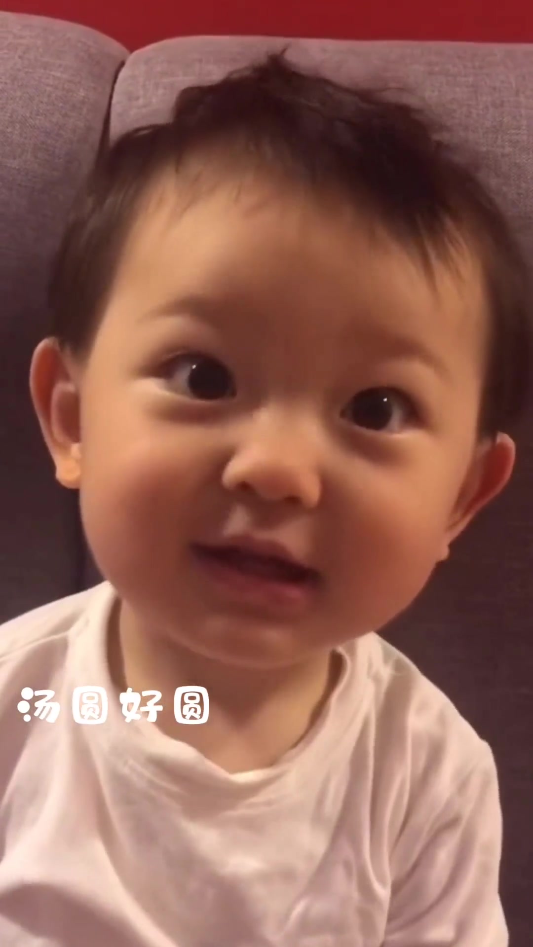 爱了 小阿汤圆 奶声奶气