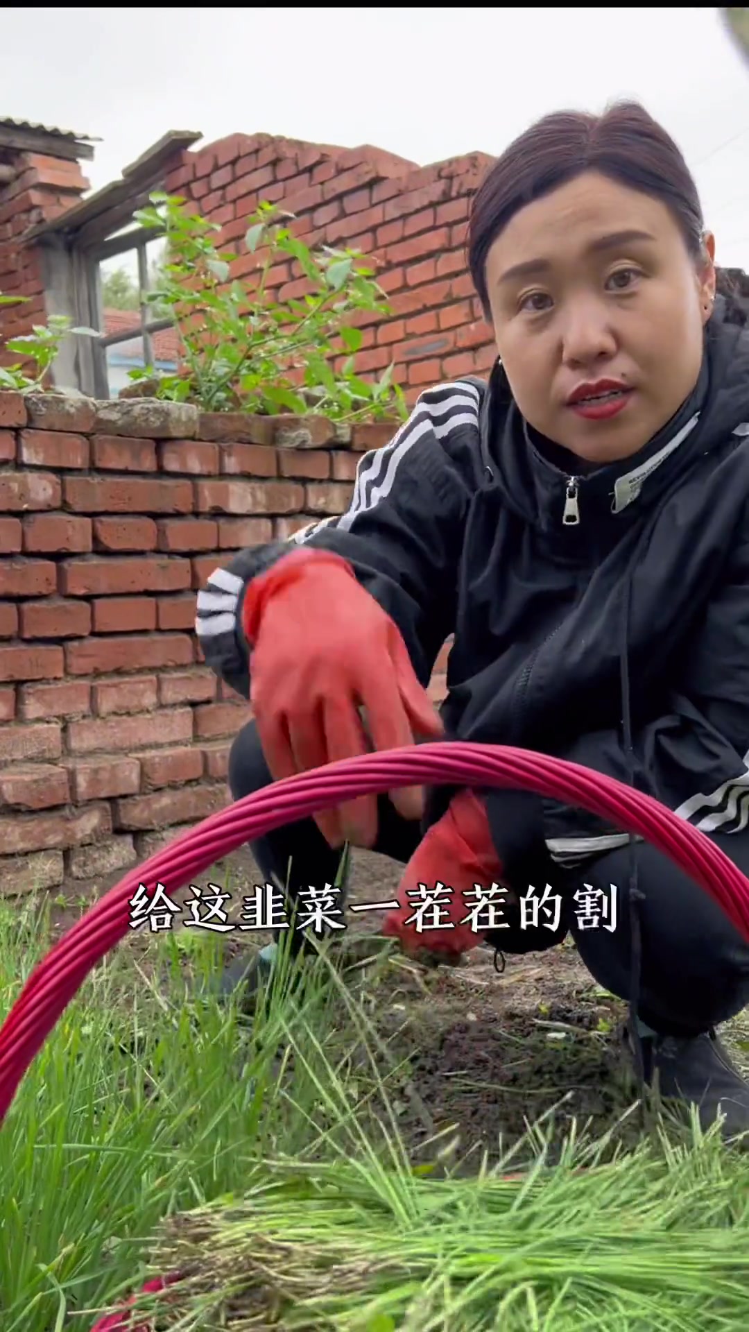 李洪岩今天包的韭菜鸡蛋馅儿饺子夫妻日常