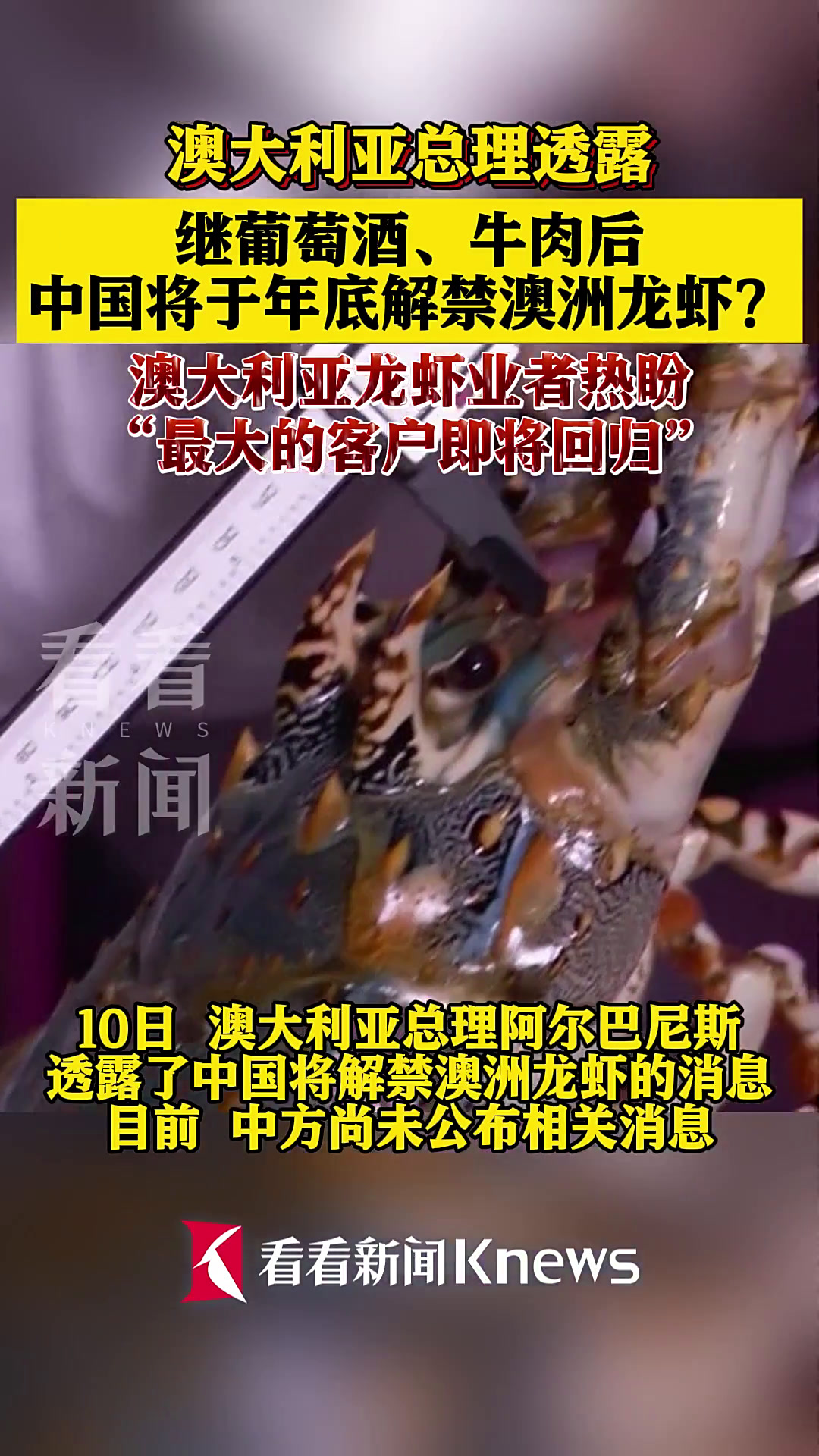 澳大利亚总理透露 中国或将于年底解禁澳洲龙虾