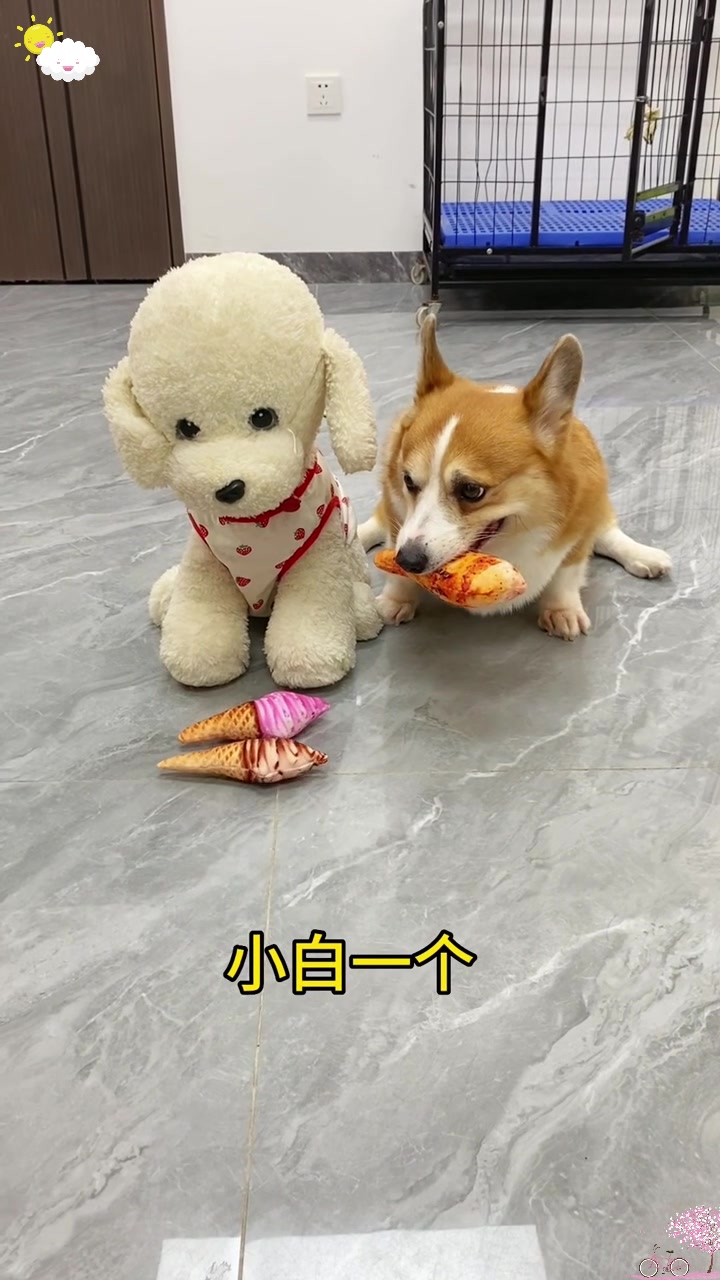 小狗出门狂躁,速寻“老六”庇护