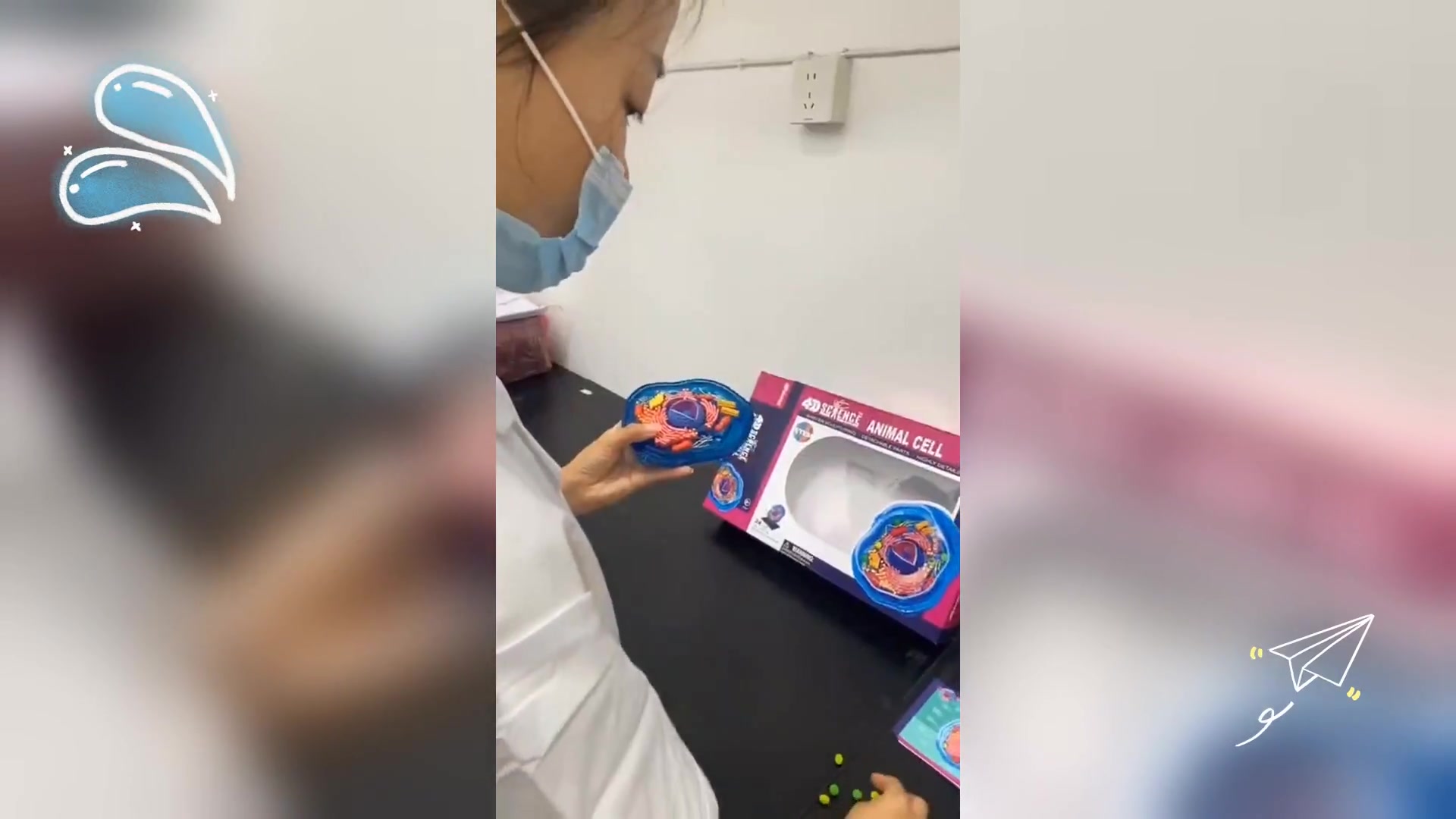 初中生物: 动手制作动物细胞模型实验