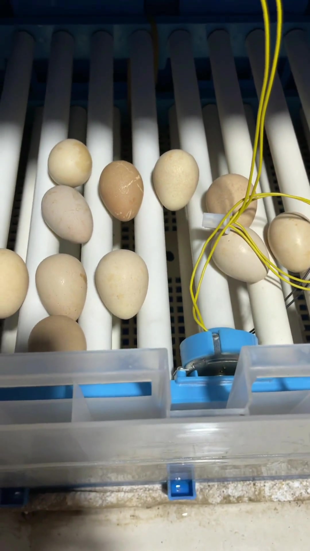 没有人喜欢孤独,但比起失望 孤独会让你更加踏实