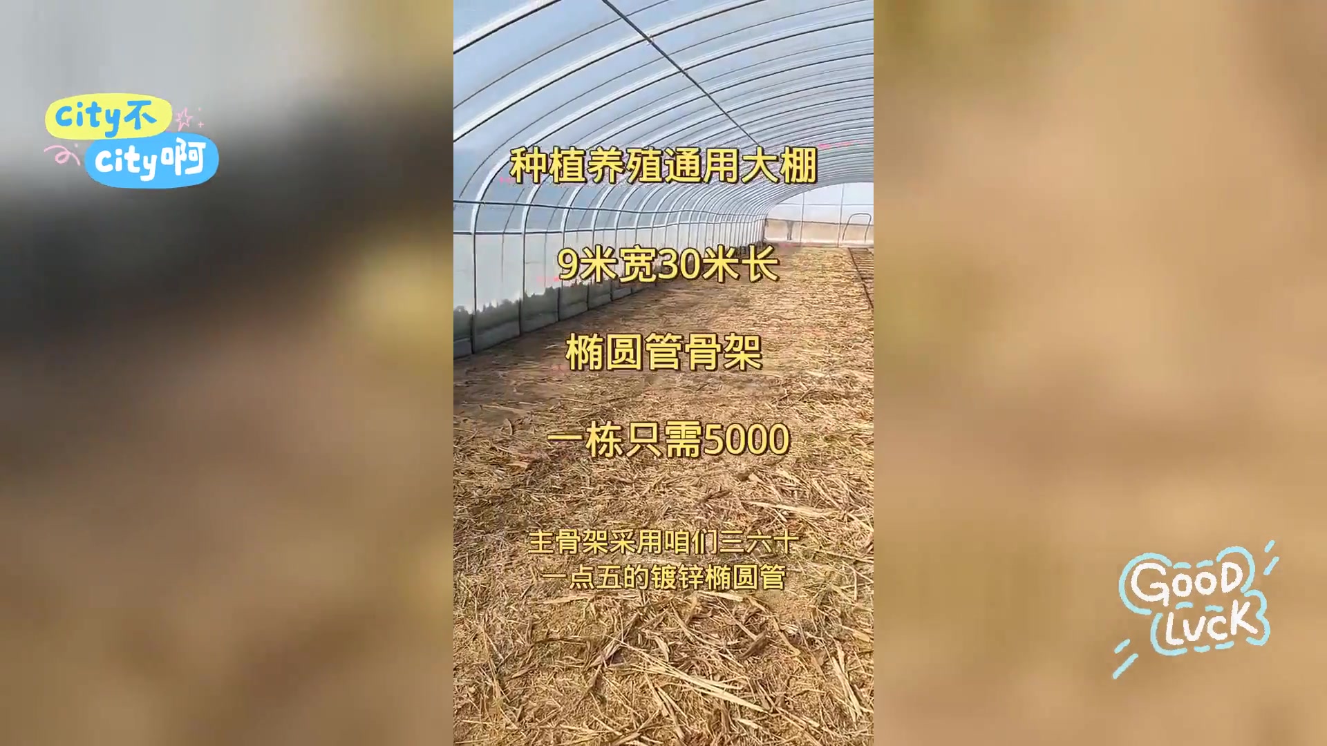 温室大棚设计安装与生产: 新型蔬菜种植解决方案
