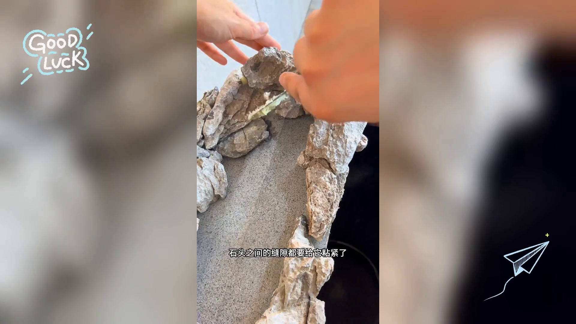 鱼缸设置入门指南