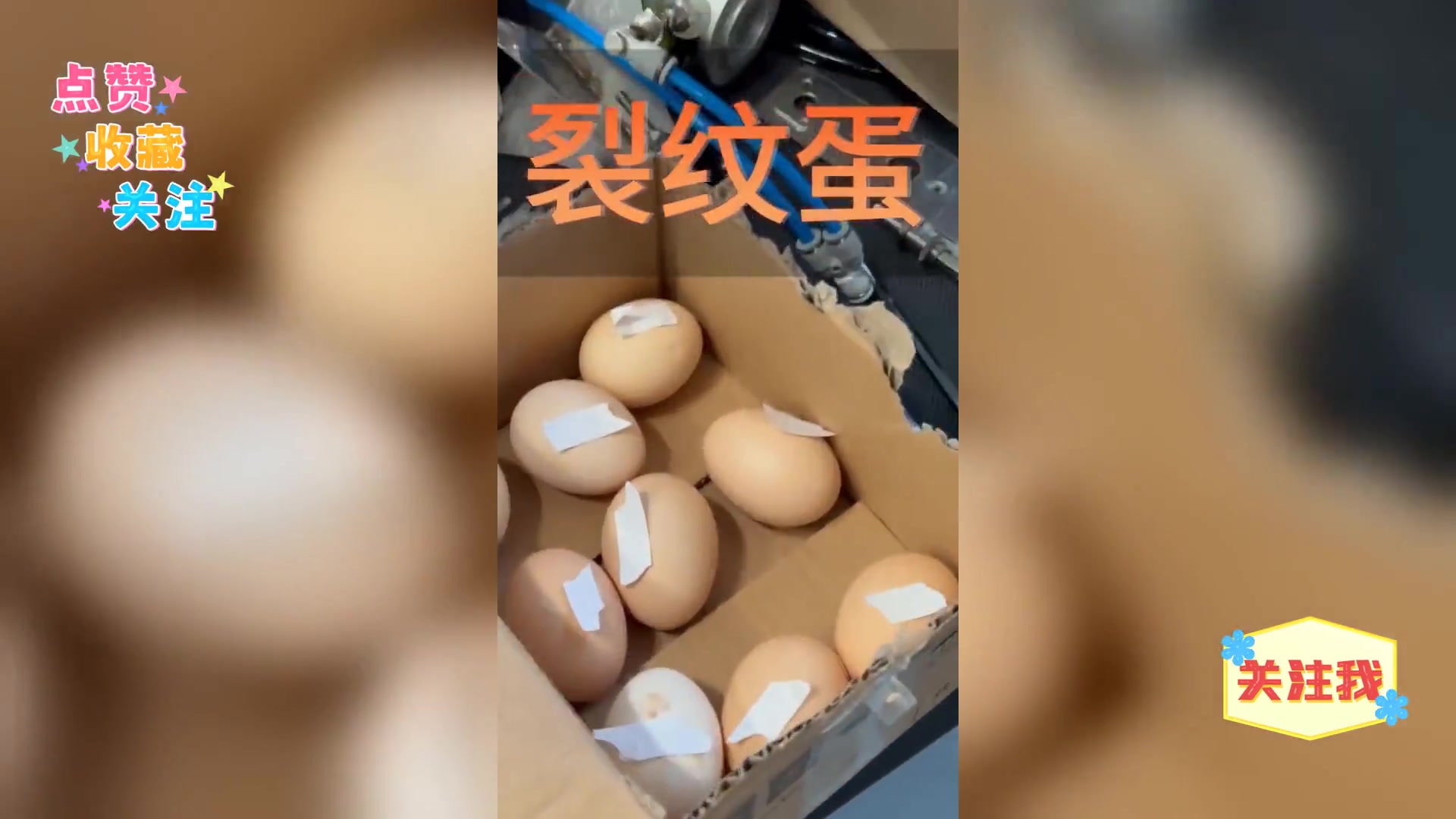 智能机器人,精准抓取鸡蛋