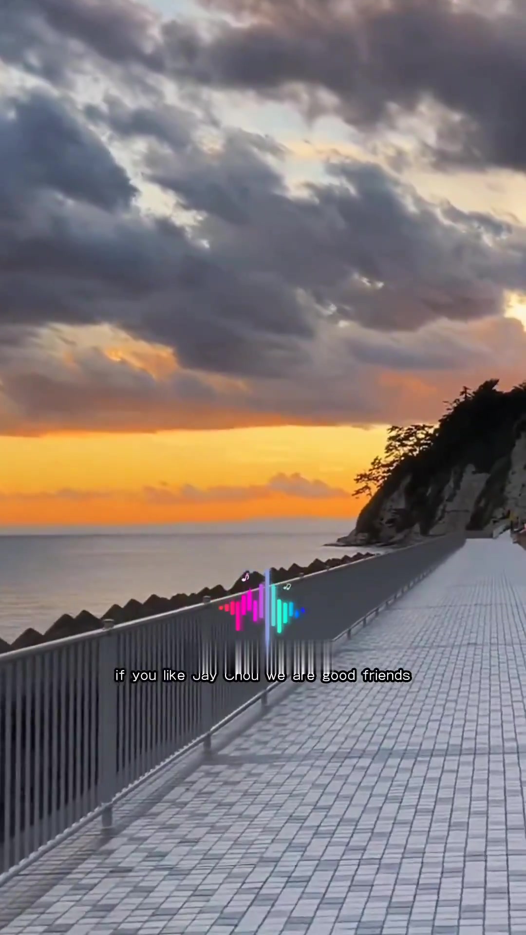 “海鸟跟鱼相爱 只是一场意外”