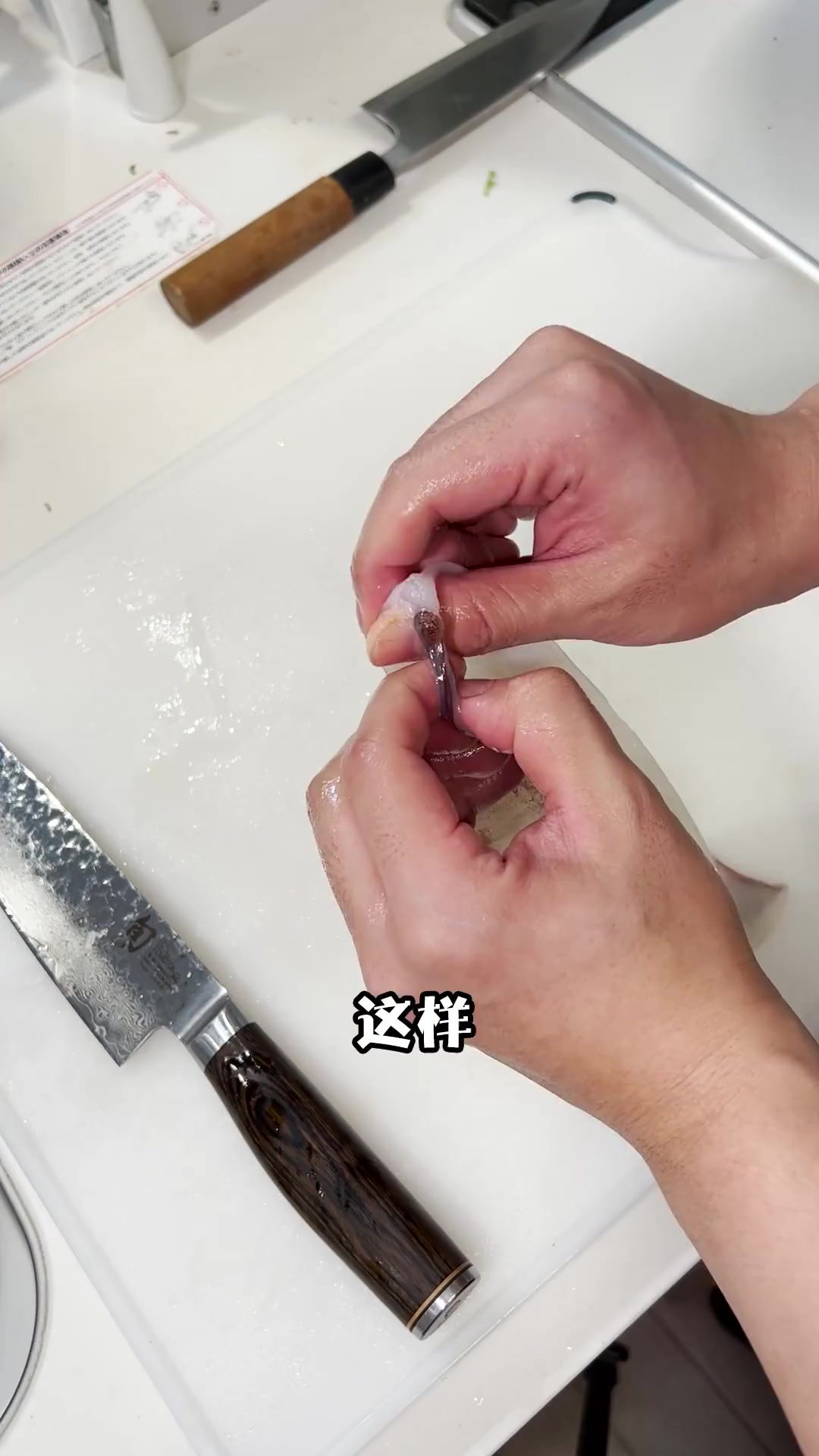 当季新枪鱿!好吃到感动!