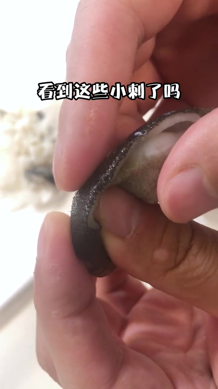 河豚鱼皮和米坦的一段过往心酸历程!