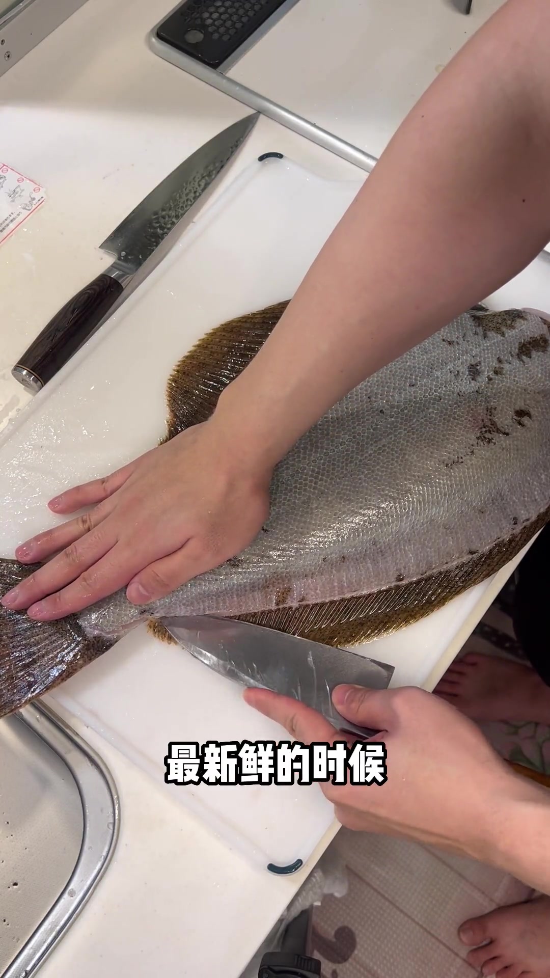万元比目鱼!就这样还是捡到漏了!