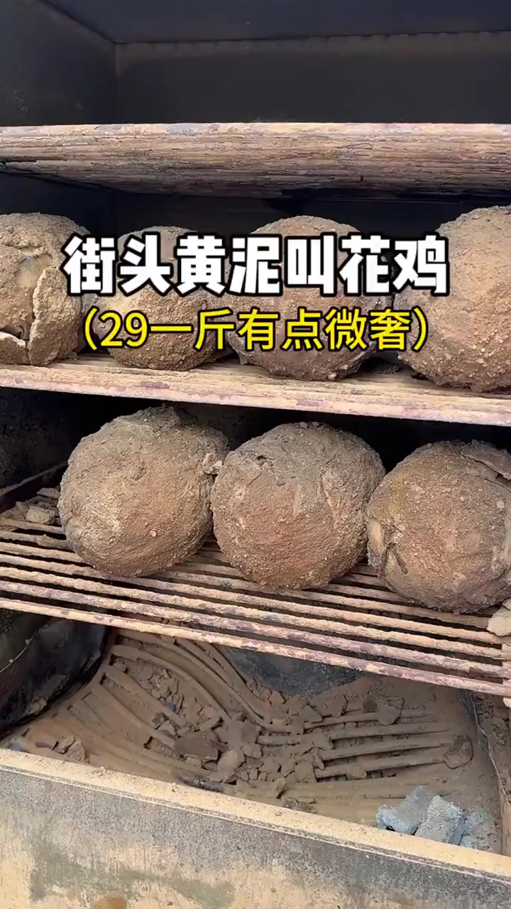 街头偶遇黄泥叫花鸡,29一斤买了一只竟然一百多