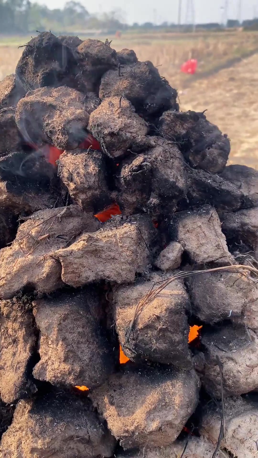 童味窑鸡 土窑鸡 鸡