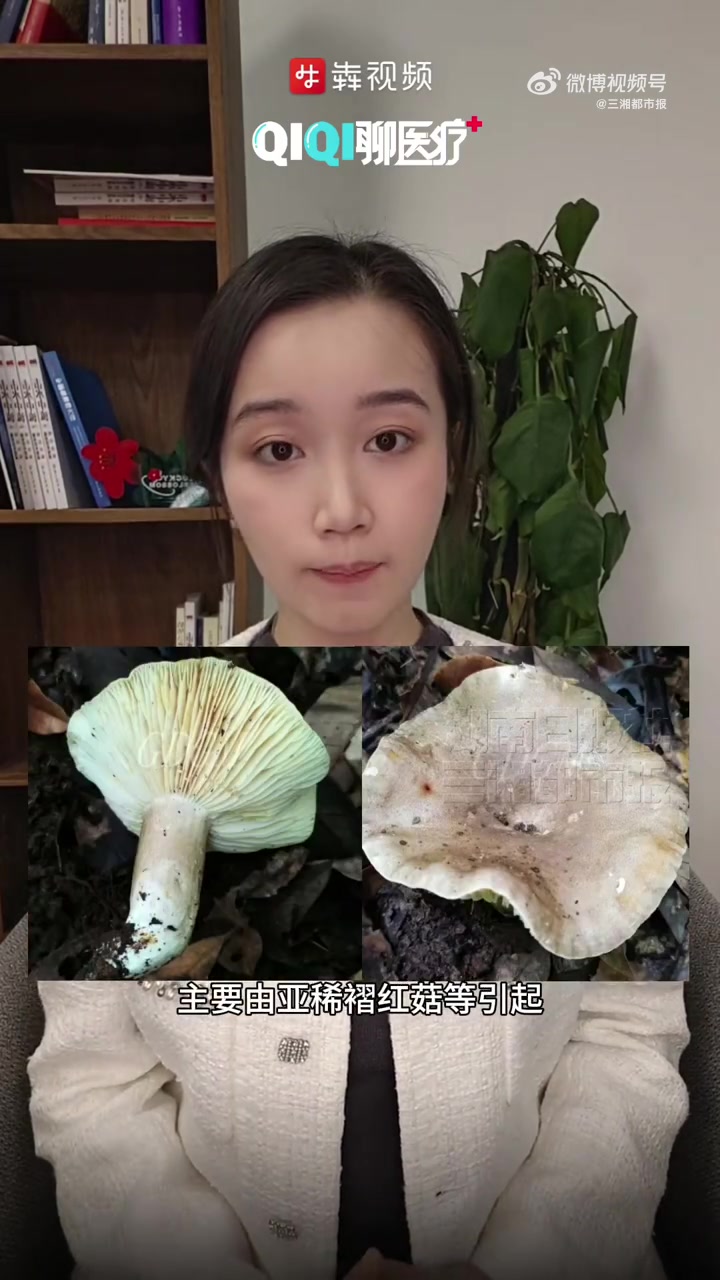 「QIQI聊医疗丨长沙疾控提醒小心野蘑菇中毒」随着秋季的到来,野生蘑菇迎来了疯狂生长的季节