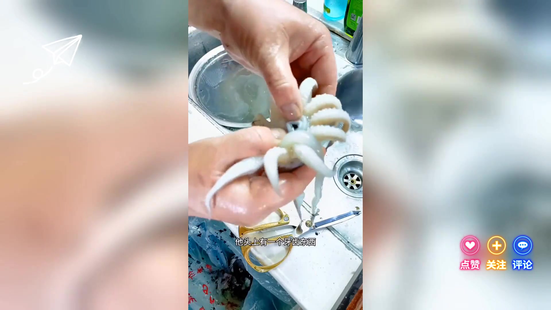 墨鱼清洗方法简述