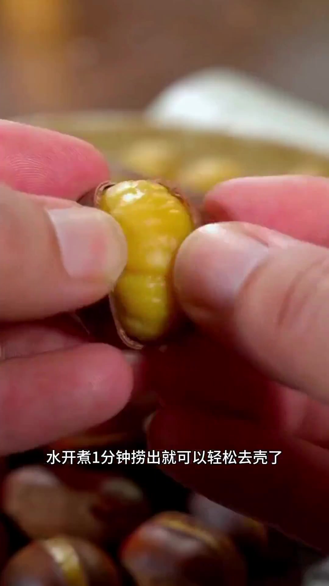 家里有产妇的,一定要试试这道板栗鸡汤!