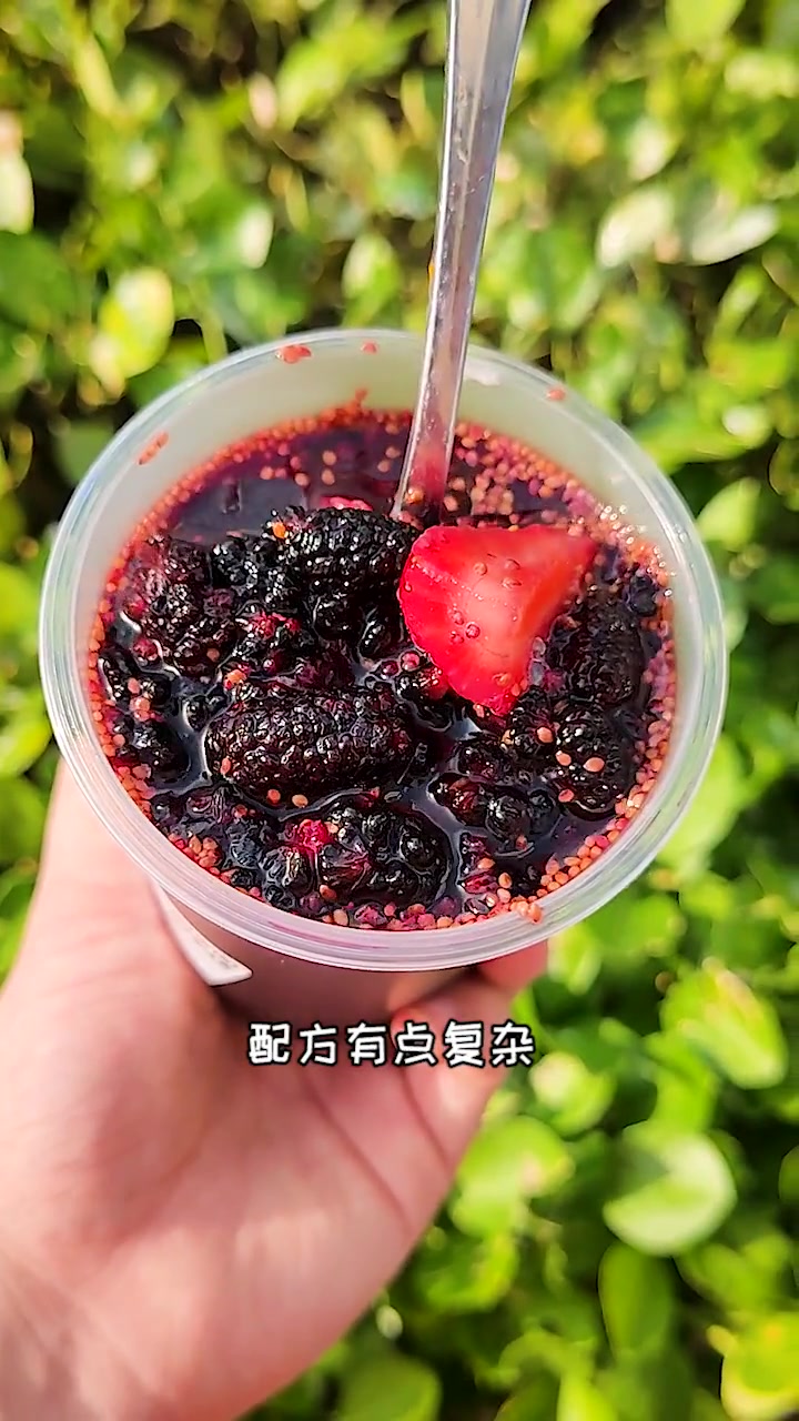 五块钱喝一大桶!茶百道全线热门饮品复刻来啦!(家庭版)