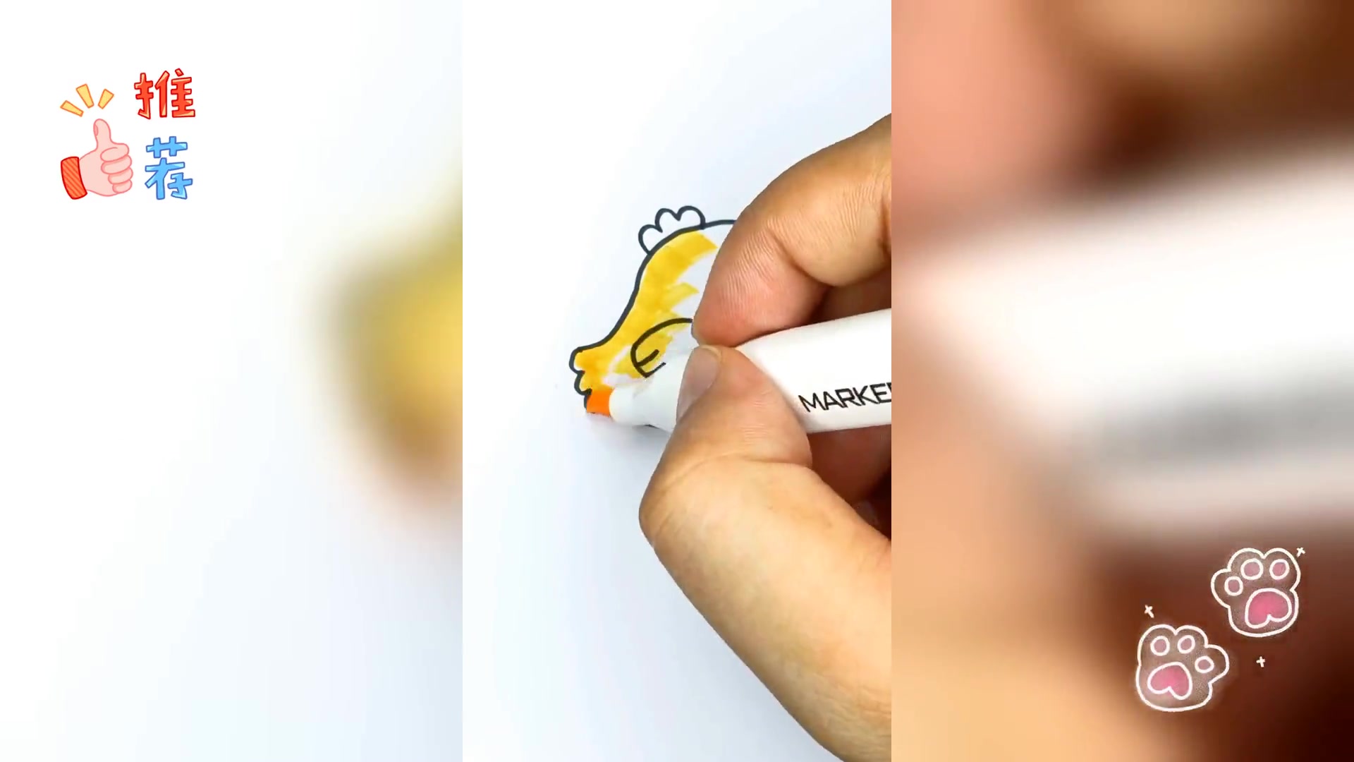 简易小鸡绘画教程,轻松上手