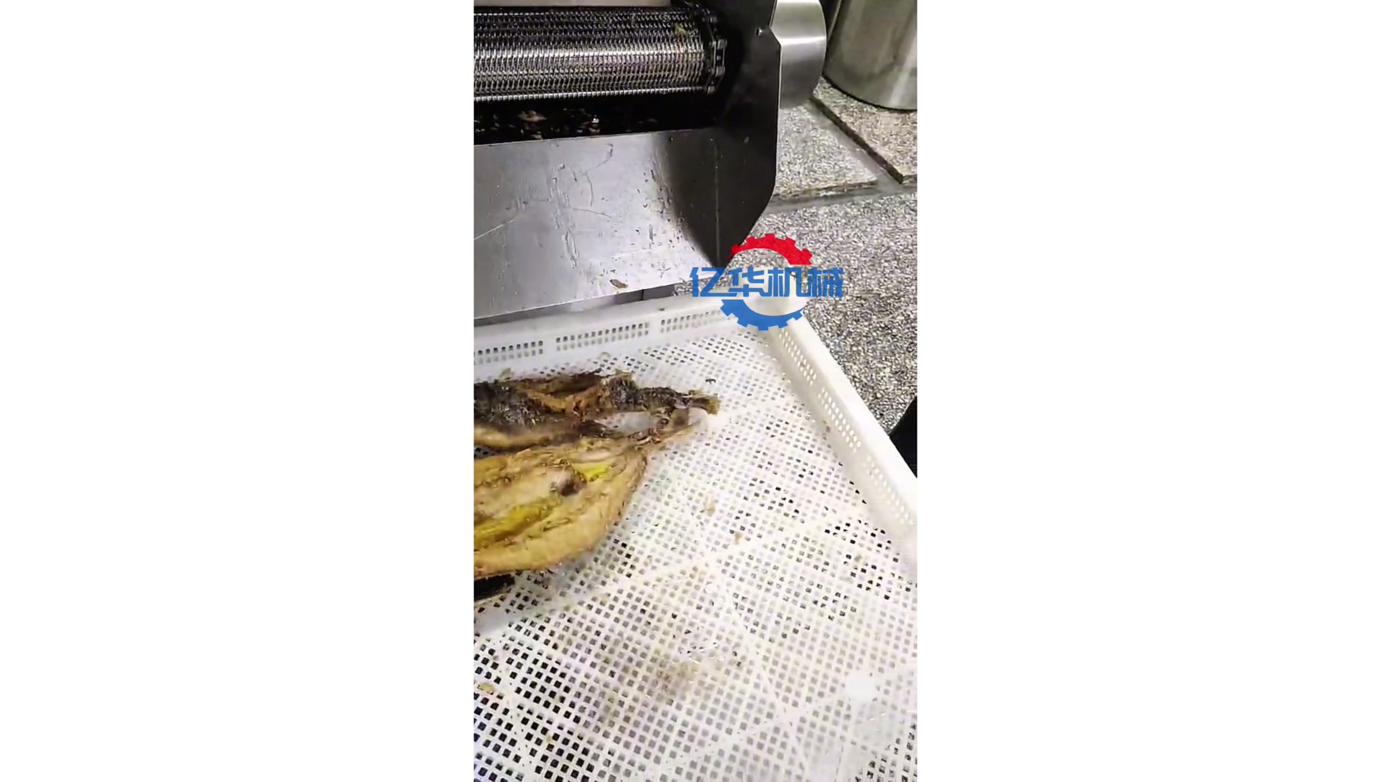 鳕鱼油炸机 鲟鱼裹粉油炸机   小鱼油炸机