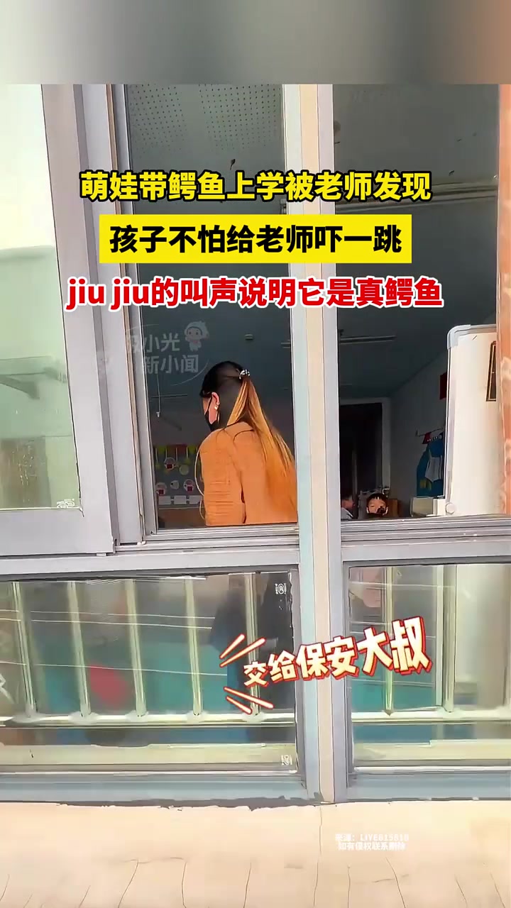 10月15日江苏,萌娃带鳄鱼上学被老师发现,孩子不怕给老师吓一跳,jiu、jiu的叫声说明