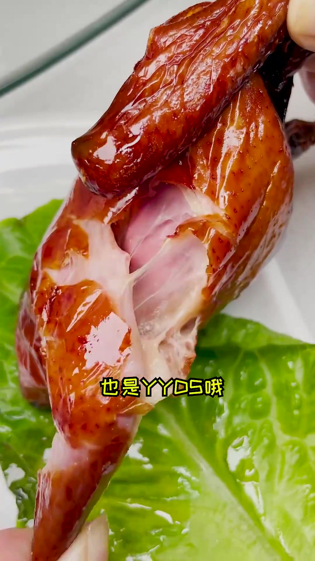 邯郸这家猪肚鸡火锅又开新店,匠心熬制足料好汤