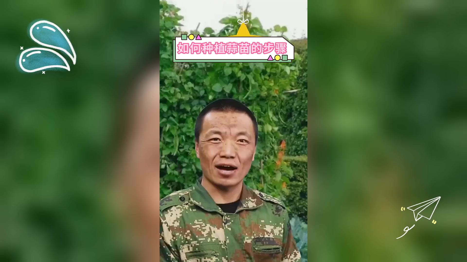 如何种植蒜苗的步骤