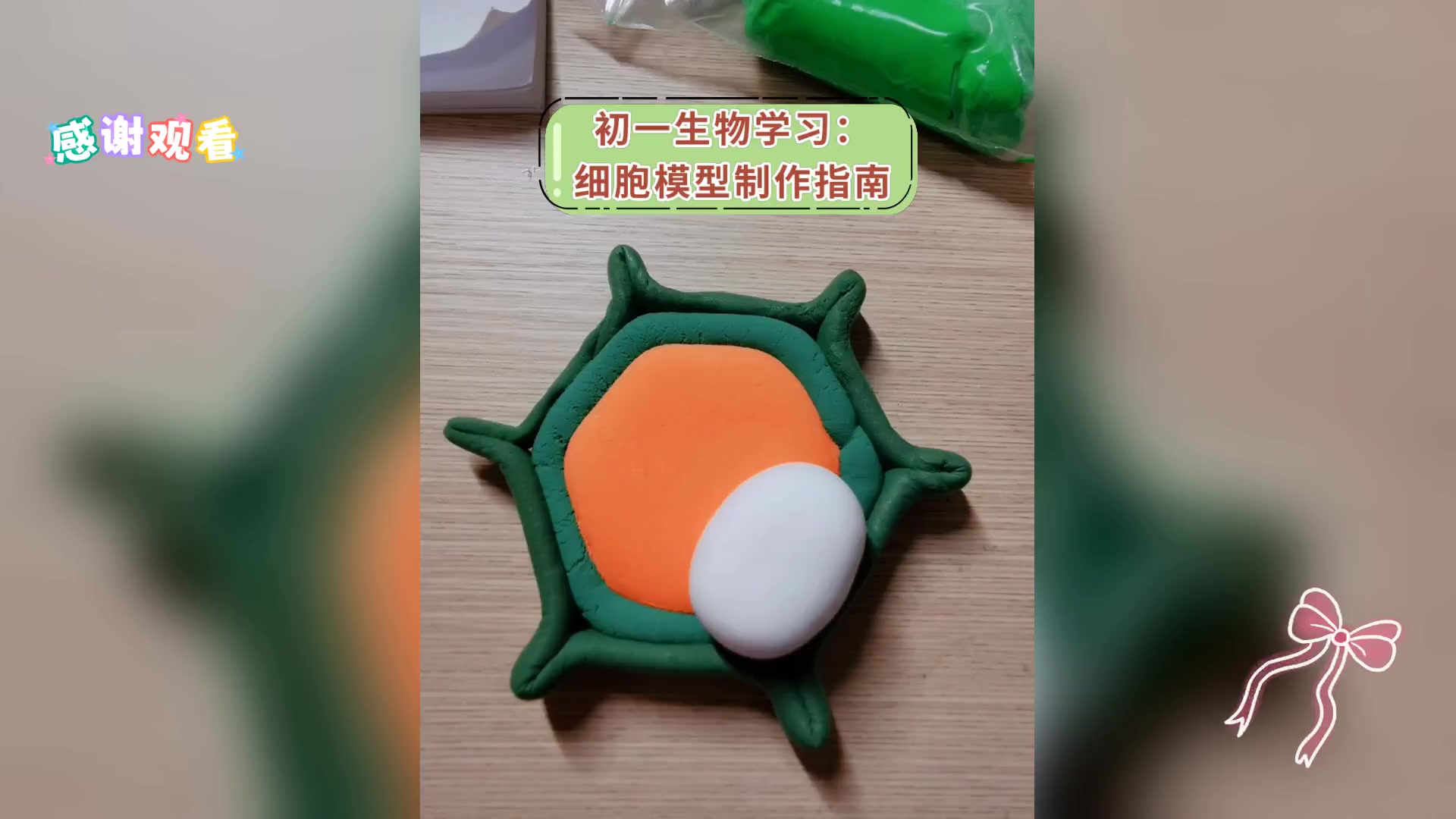初一生物学习: 细胞模型制作指南