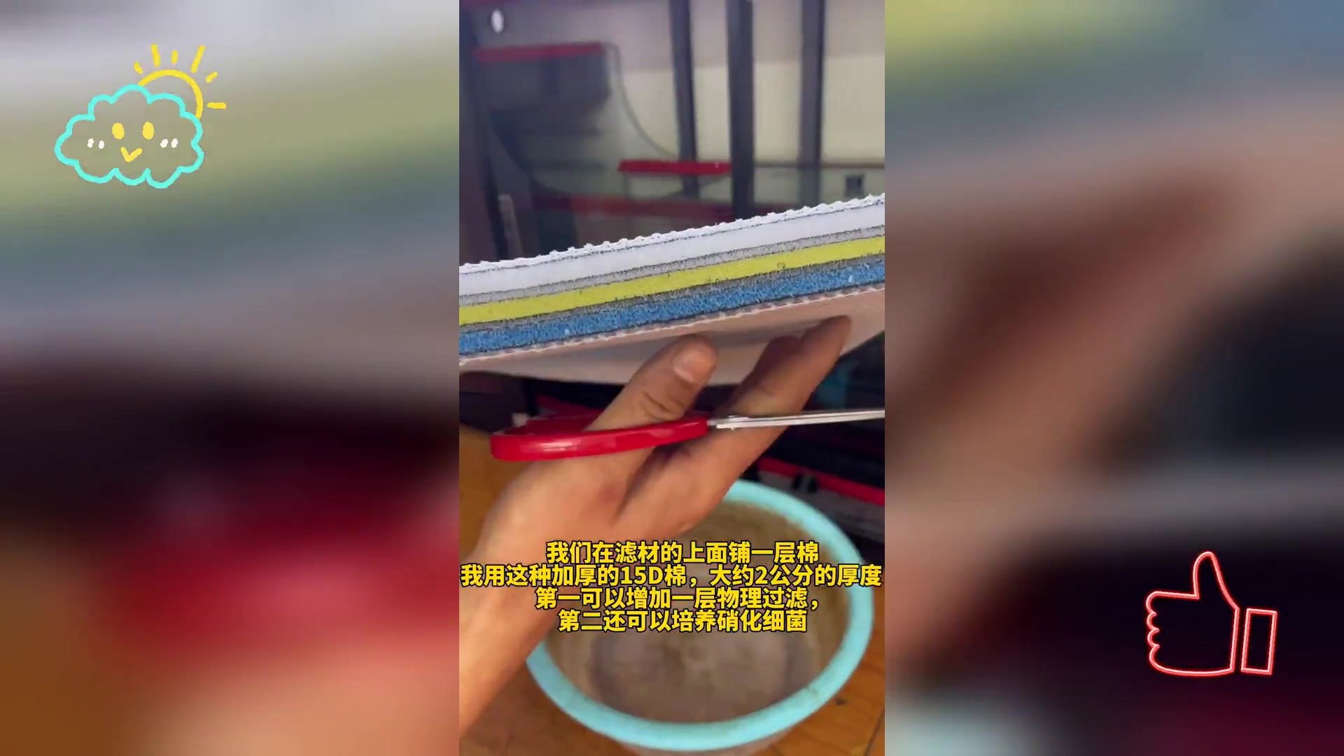 新缸养鱼速成指南: 快速开缸放鱼步骤