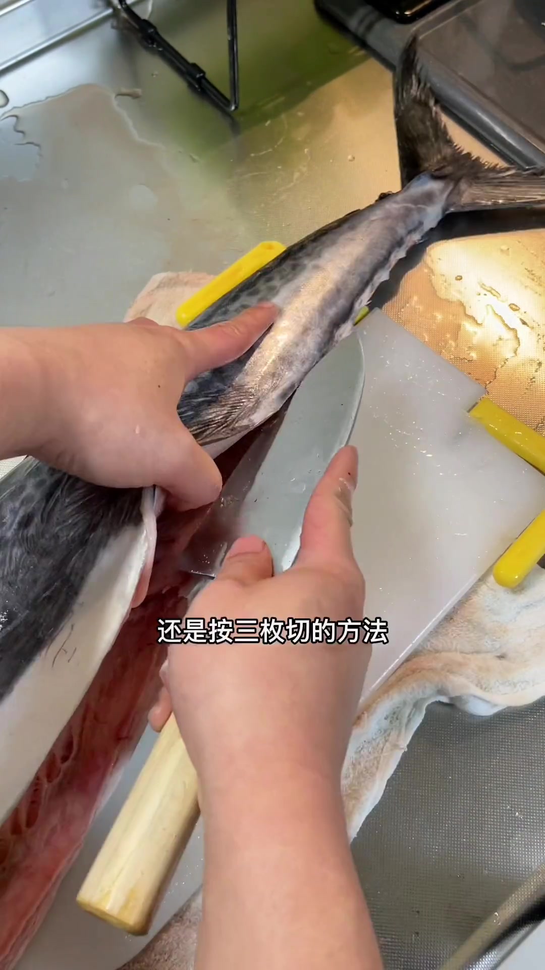 哈哈哈,好大一条鱼呀,感觉我一个人能吃好久