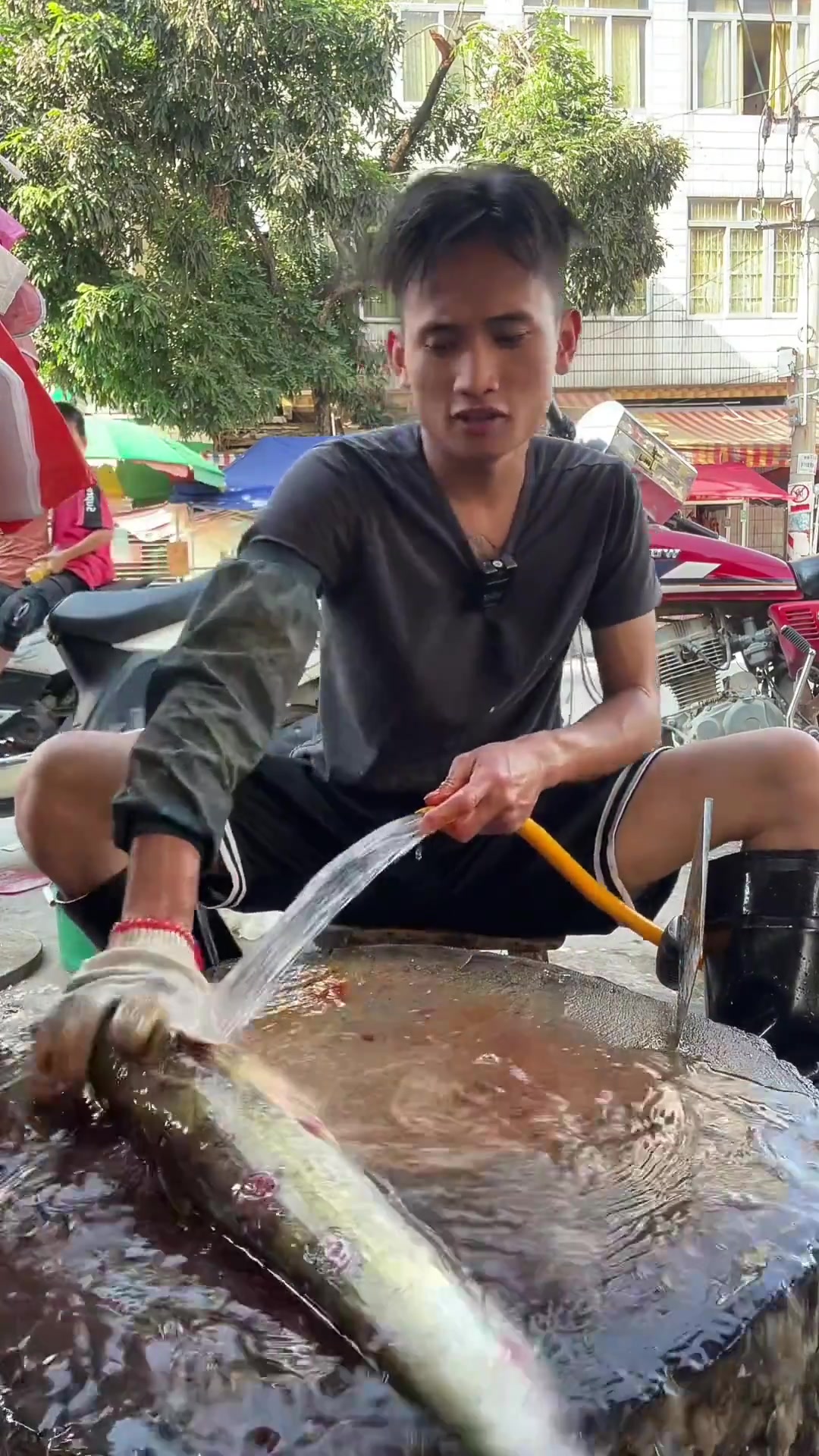 表哥,清蒸的白鲶鱼来咯
