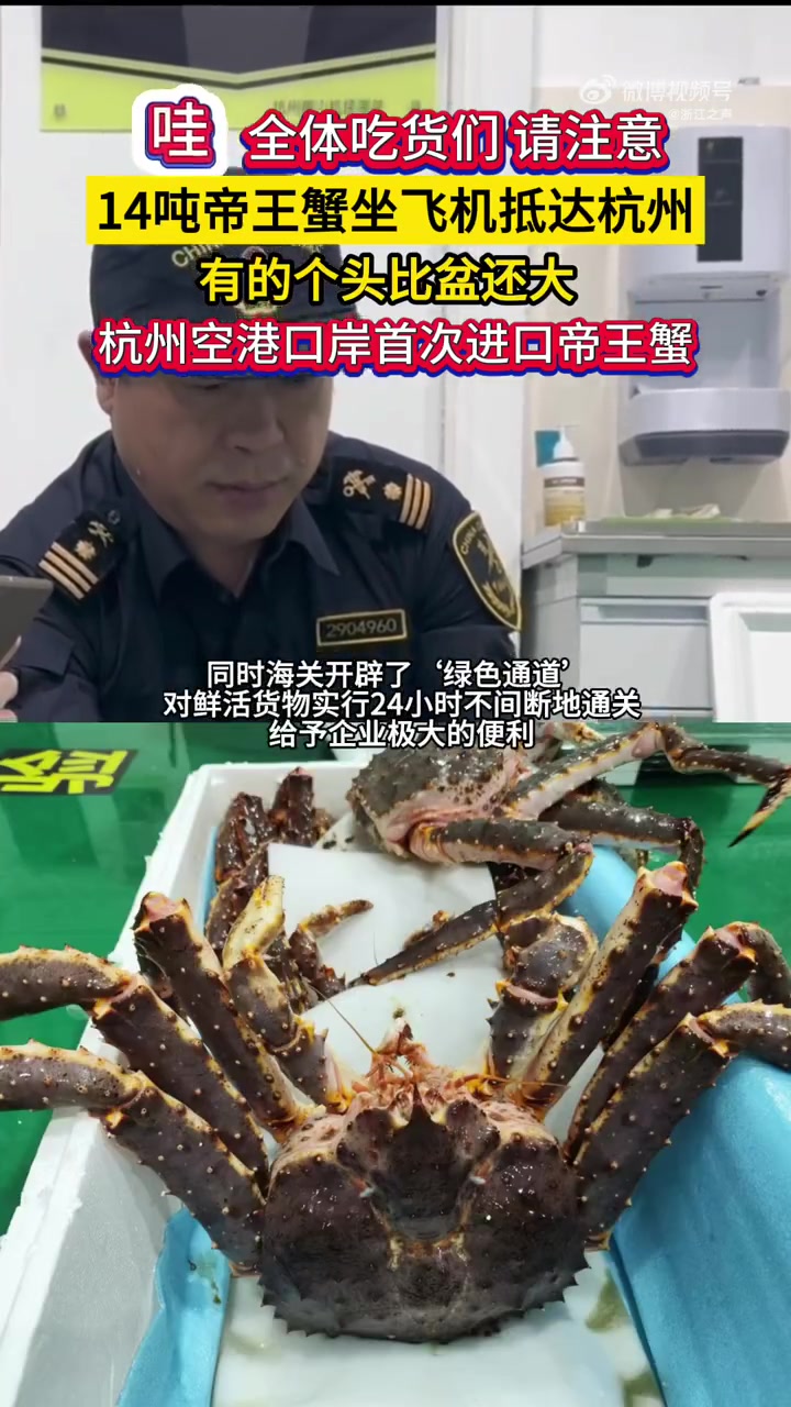 10月17日凌晨,一架载有14吨帝王蟹的飞机经历12小时的飞行,成功抵达杭州萧山机场。经杭