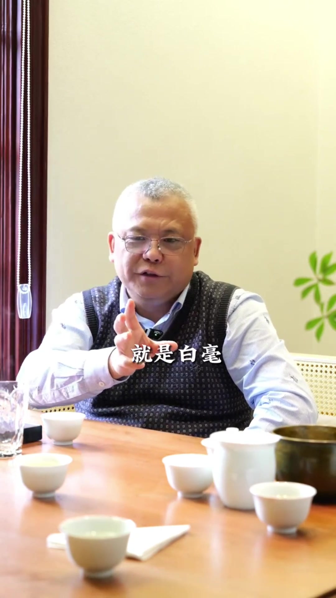 小众茶碧螺春炒青推荐