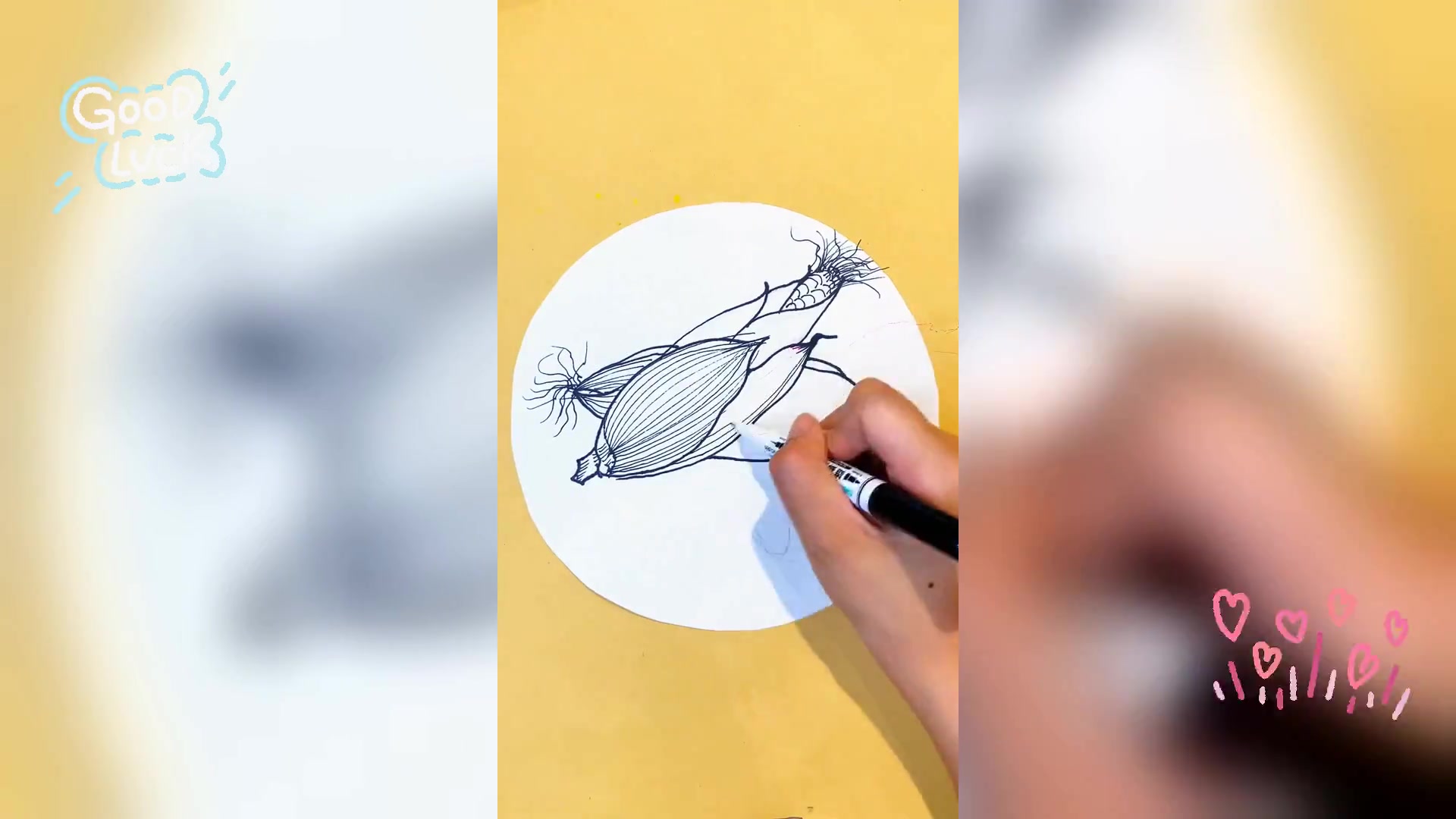 简笔画玉米教程