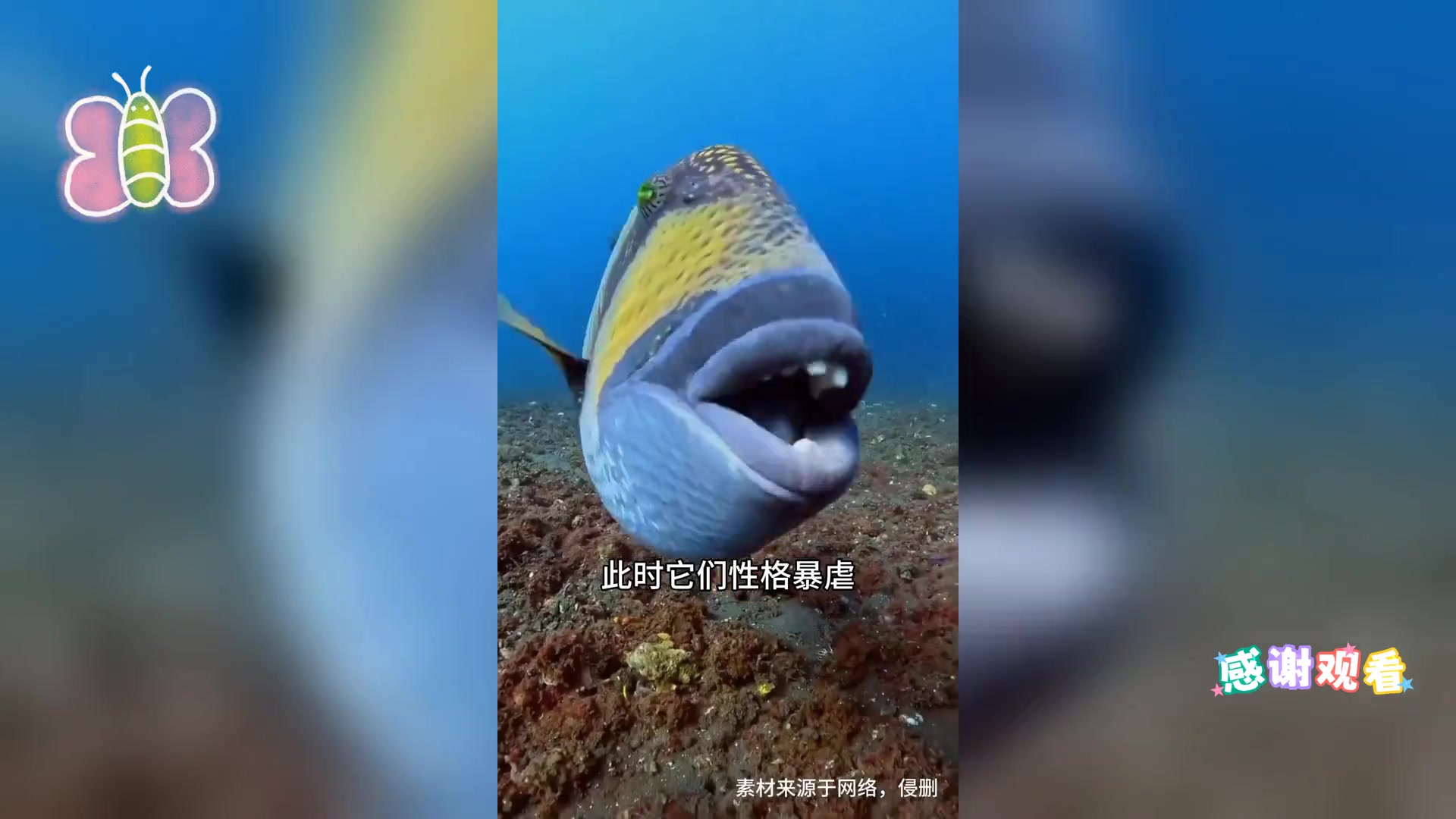 探秘深海: 锋利牙齿的刺客生物