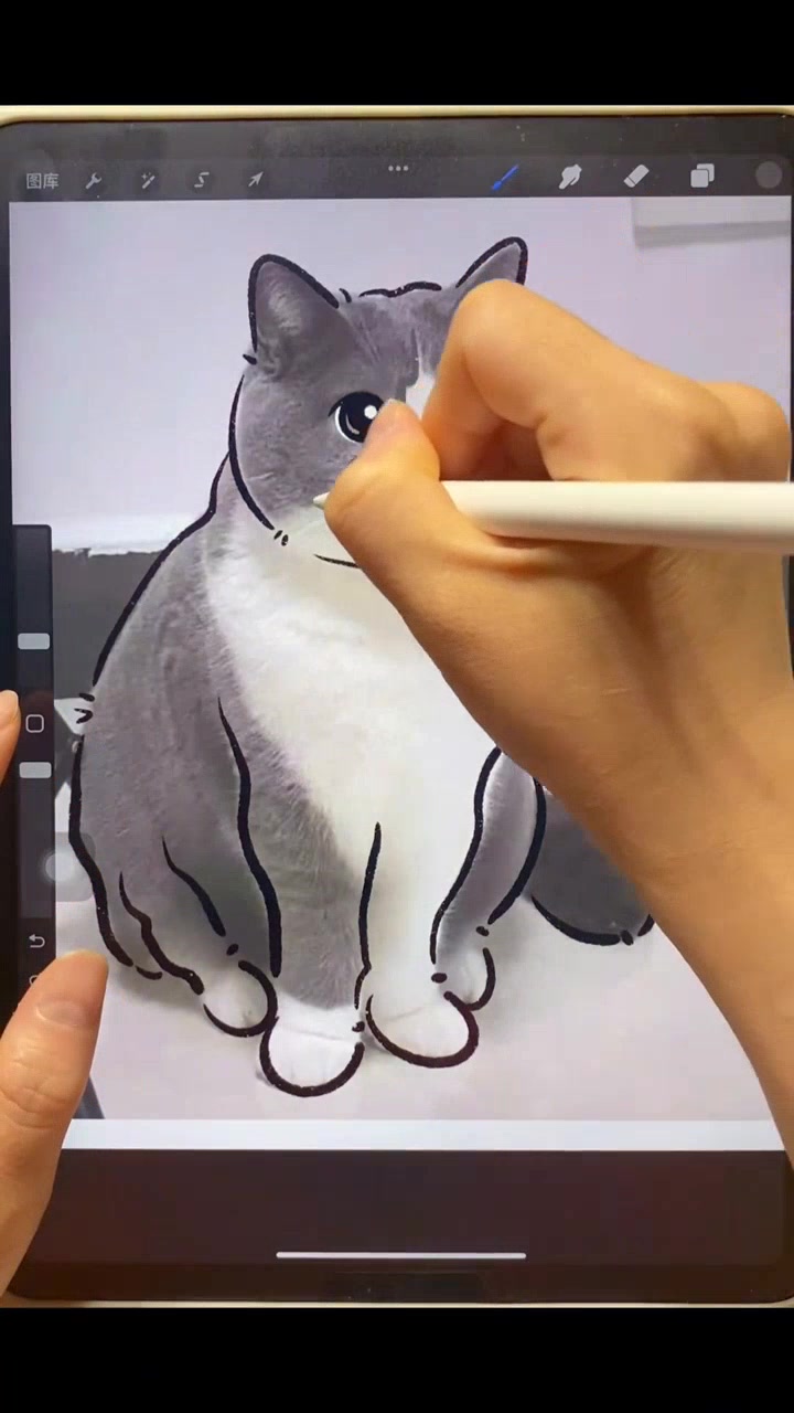 手绘猫咪头像太可爱啦