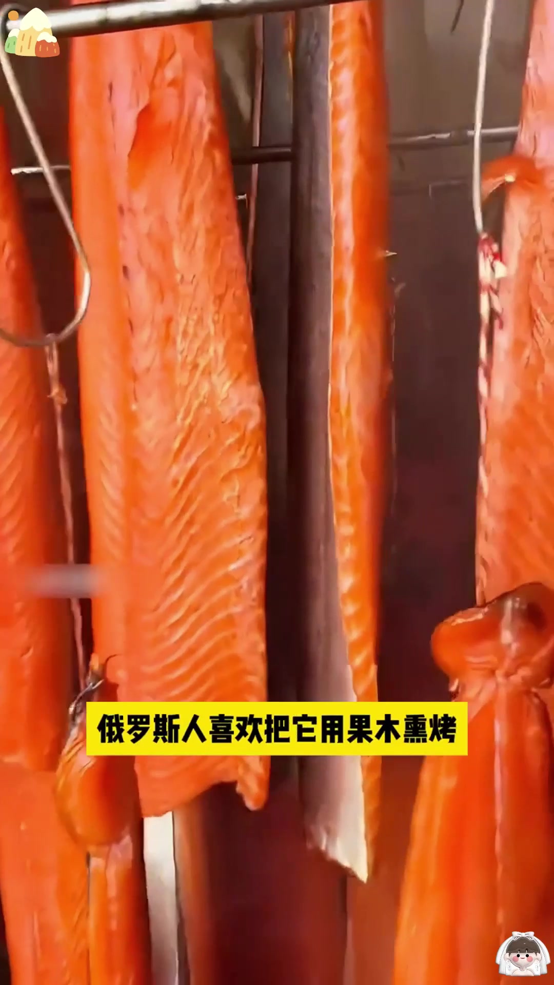 三文鱼与大马哈鱼有何区别?