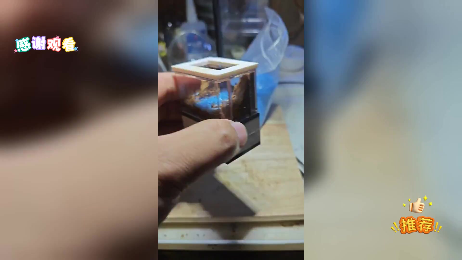 迷你苔藓鱼缸生态,山水景致DIY教程