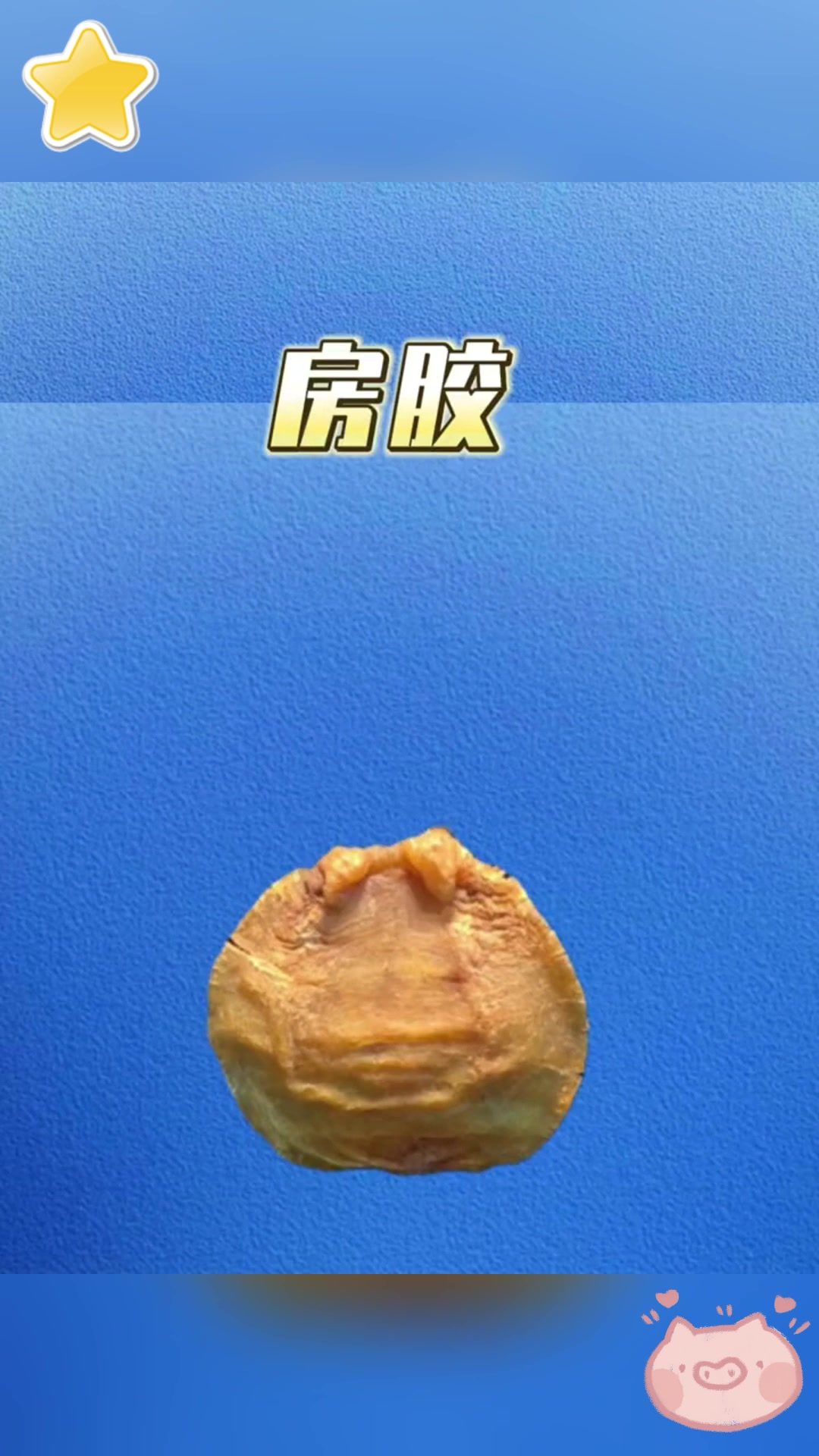 10 大高性价比鱼胶排行榜,你值得拥有!