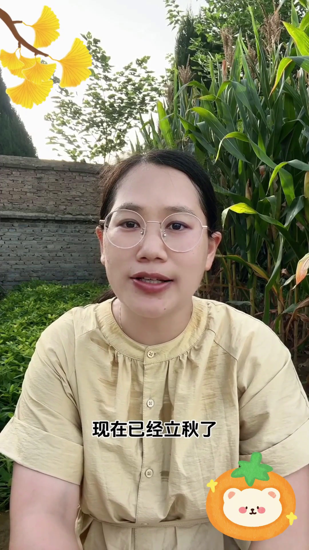 秋冬必吃的“菜中皇帝”,种一次吃 10 茬,南方北方都能种