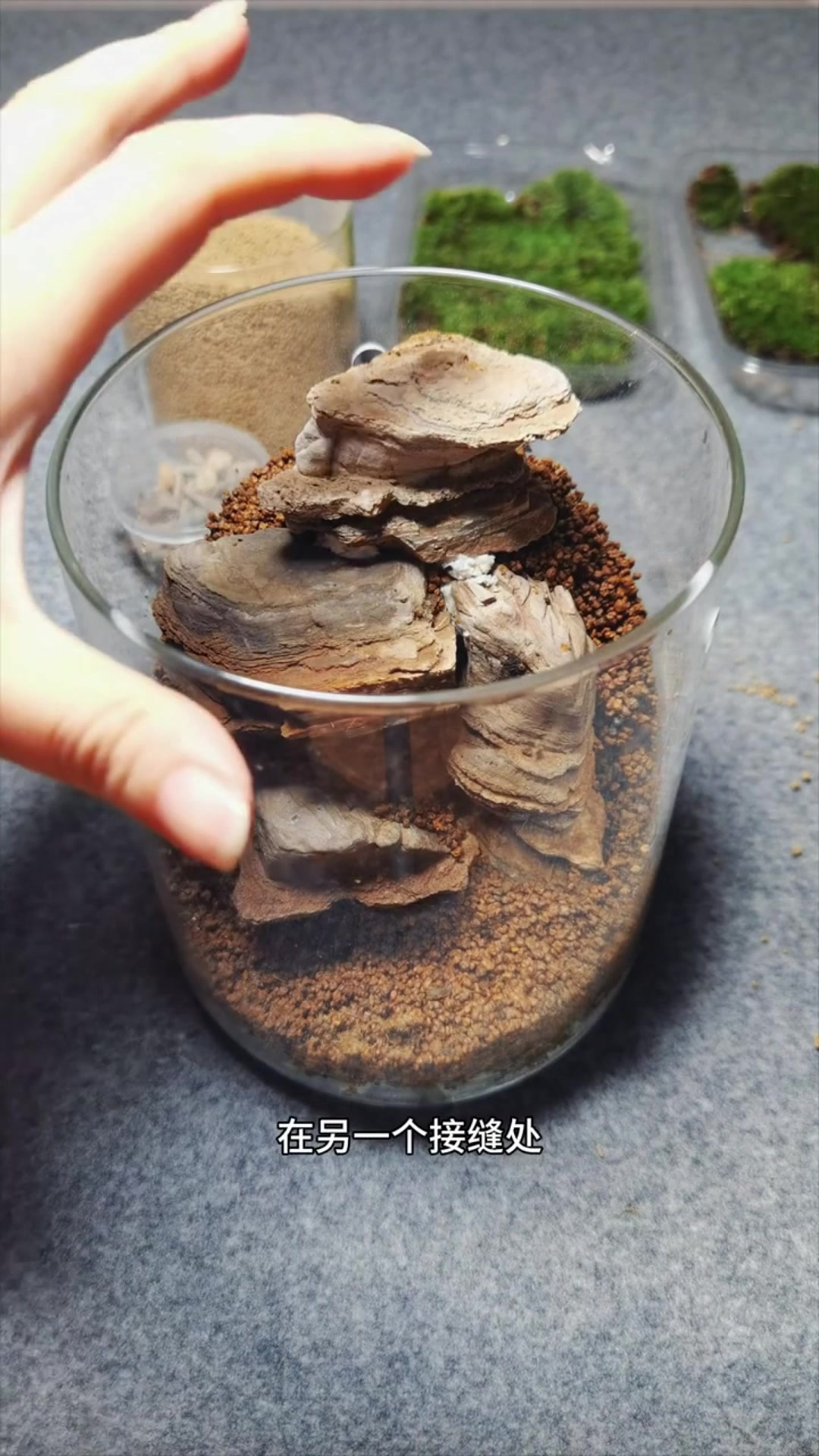 微景观制作教程:用千层石打造独特的青岛景观