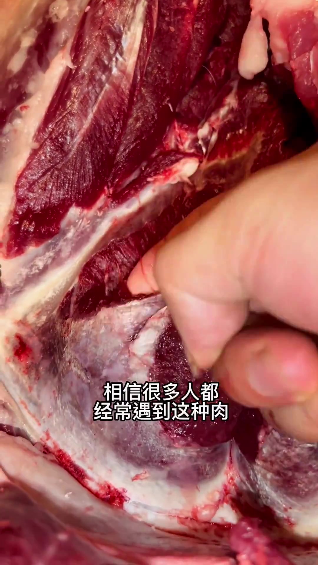 如何判断你吃的是母猪肉