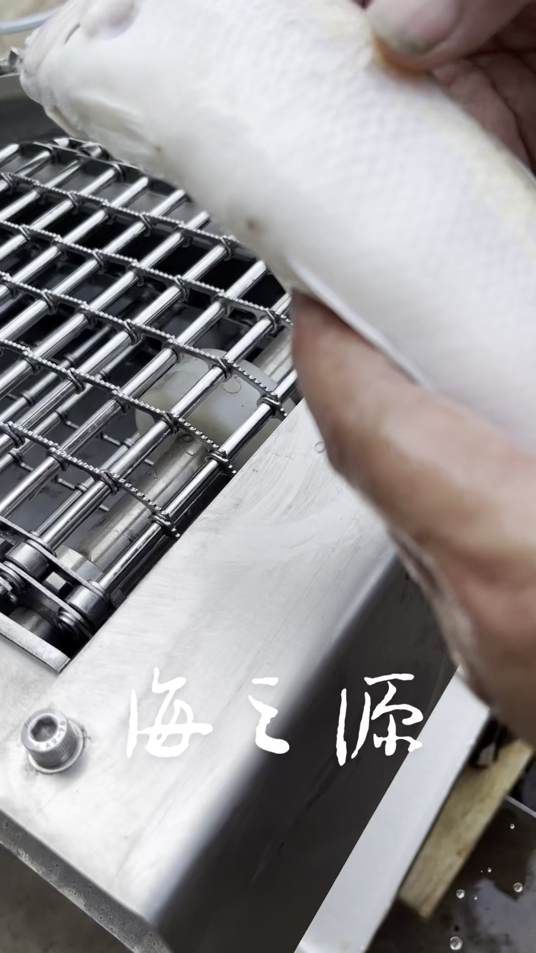 马面鱼去鳞机器高压水打鳞机械设备