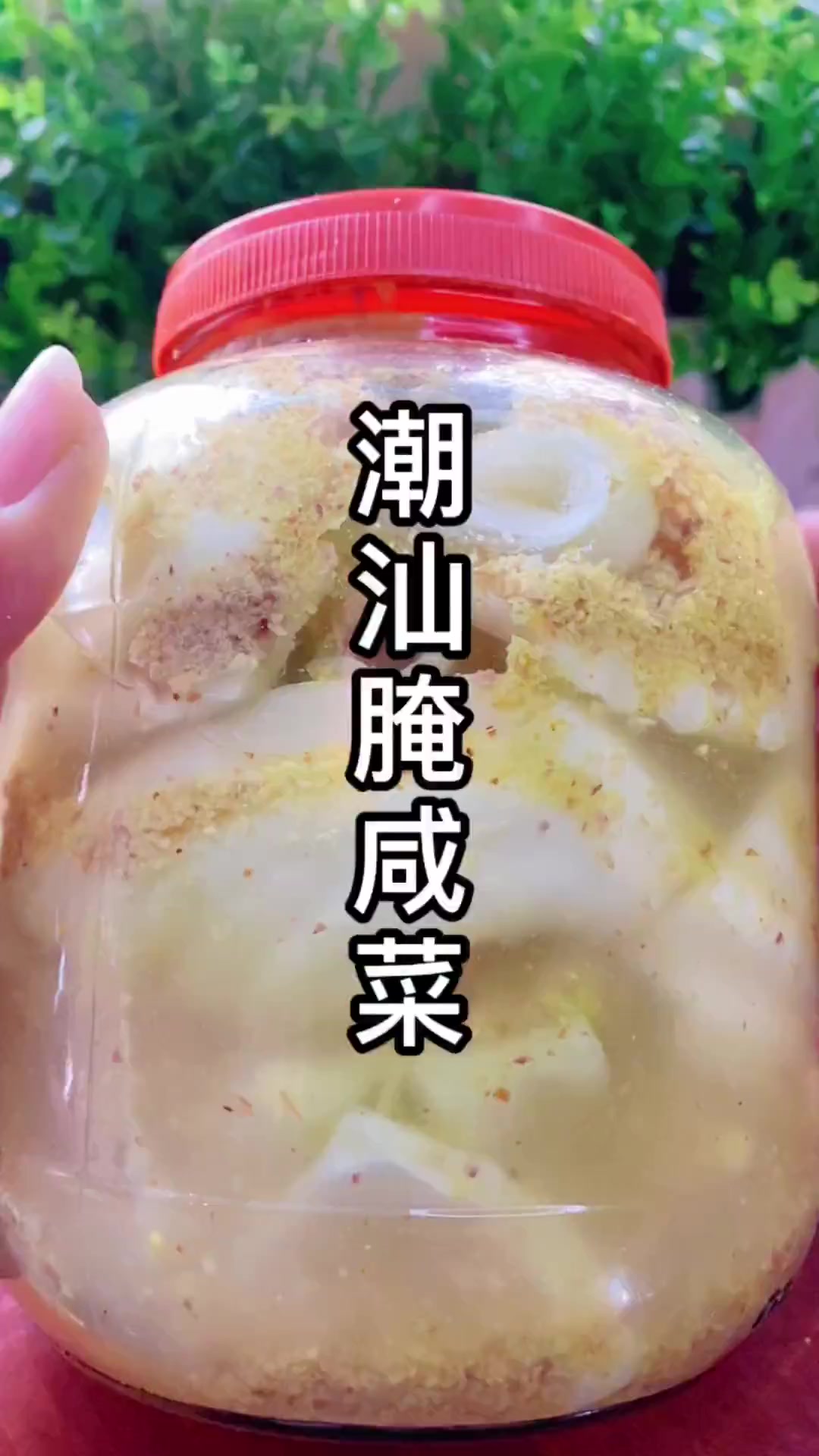 潮汕腌咸菜,自己在家腌的咸菜干净卫生还好吃