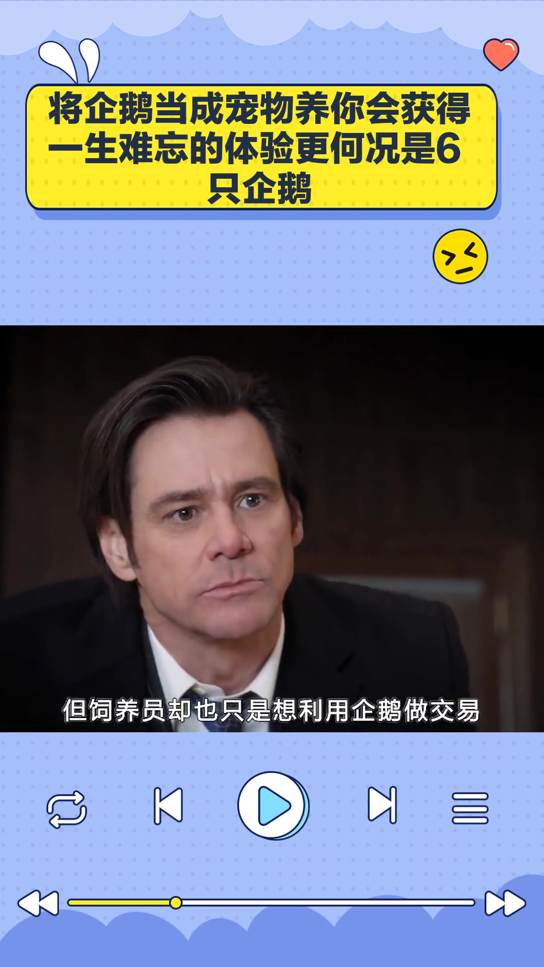 将企鹅当成宠物养,你会获得一生难忘的体验,更何况是6只企鹅