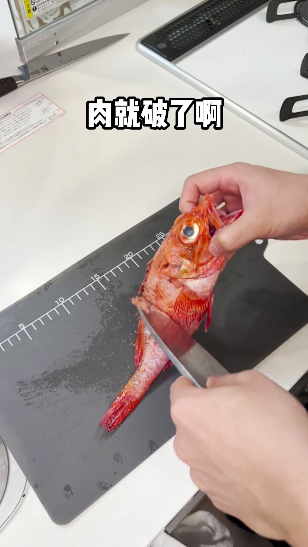 盐烤鱼王!金吉鱼!