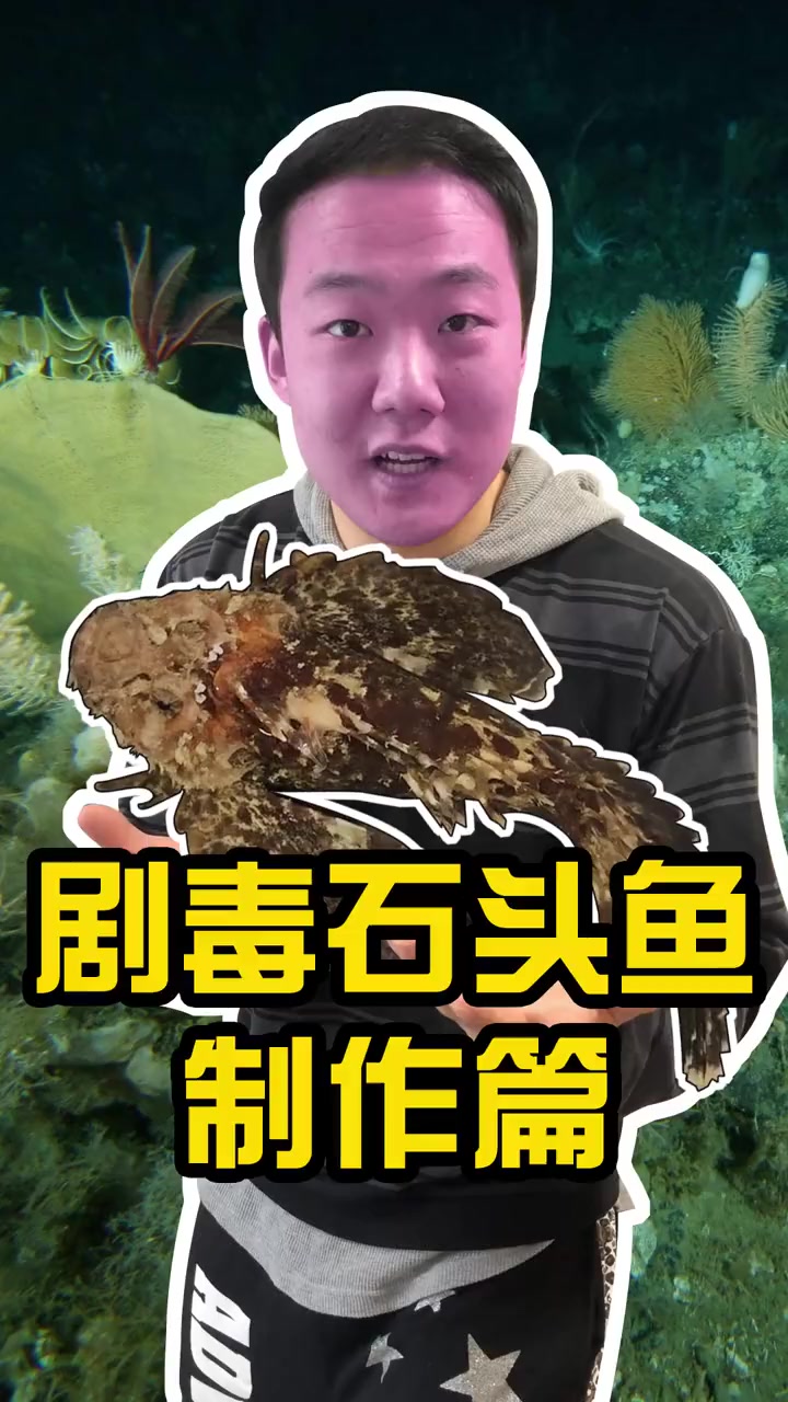 剧毒石头鱼!千万小心它背上的刺!处理篇