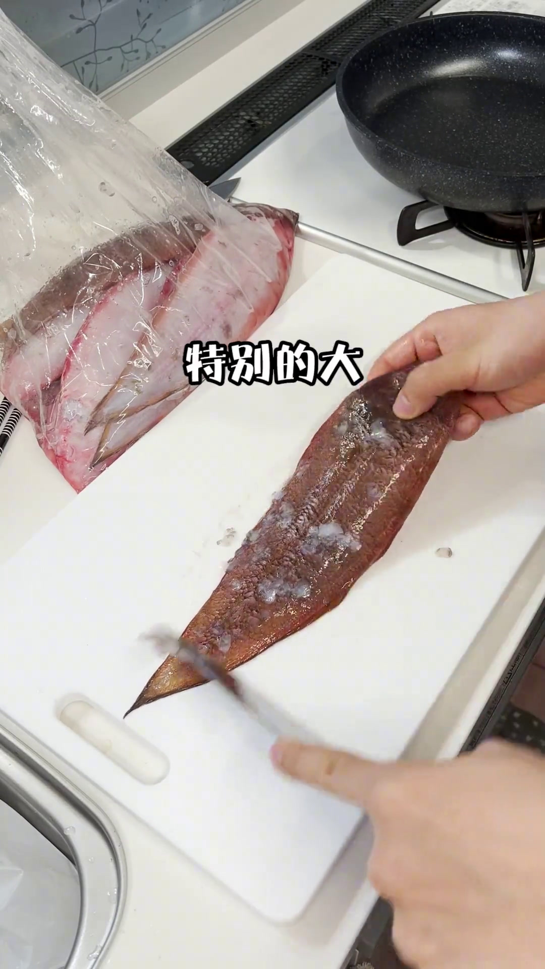 龙利鱼滞销,小伙直接买了一箱!