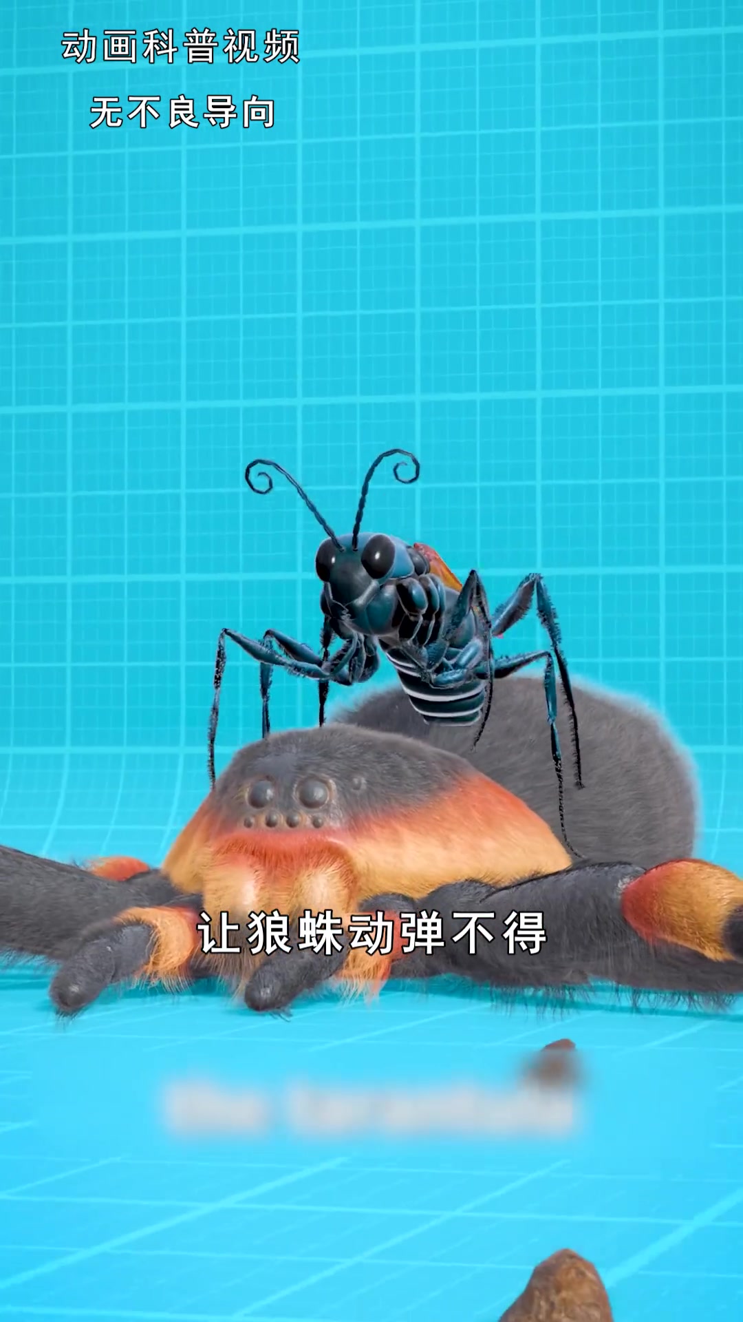 寄生虫是怎么变成鱼的舌头的?